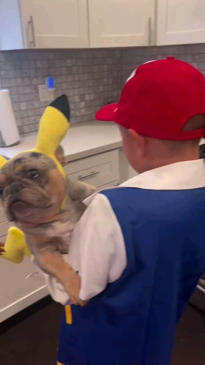 French Bulldogのインスタグラム：「Happy Halloween! 👻⁣⁣ @kovuthefrenchie415 ⁣⁣ . . . . .  #petcostumes #halloweencostumes #dogcostumes #funnypets #halloween2023 ⁣⁣ #frenchies1 #cutestdogever #halloweenpetcostumes #pokemon #pikachu #puppyface #merlefrenchie #cutestdogintheworld #funnypetvideos #frenchiebaby #dailyfrenchie #happyhalloween」