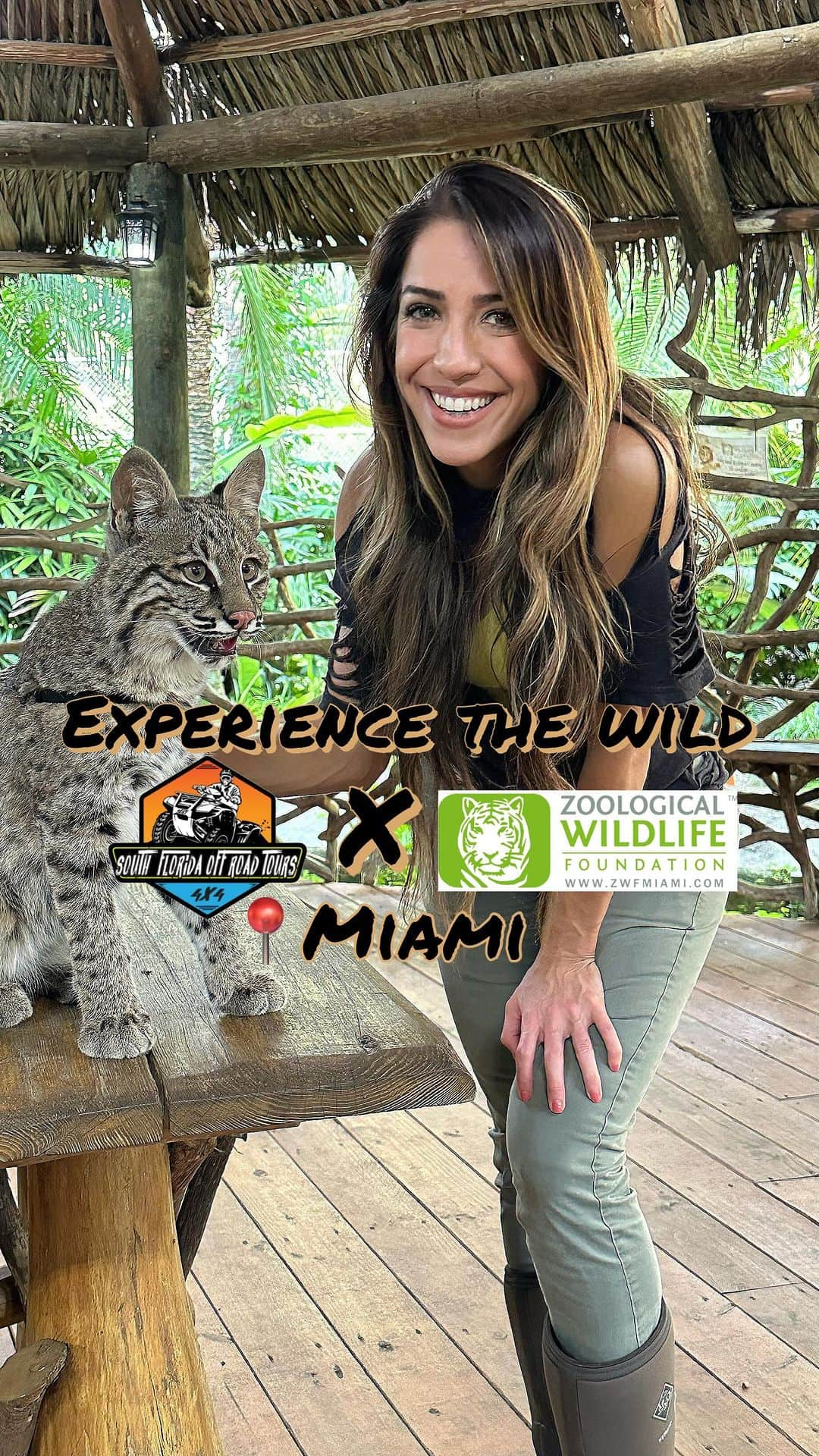 Zoological Wildlife Foundationのインスタグラム：「🐾 Unleash the adventure! Join the untamed collaboration between Zoological Wildlife Foundation and South Florida Off-Road Tours.   1️⃣ Express General Wildlife Introductory Experience: * Wildlife Up-Close: Encounter Capuchin Monkeys, Armadillos, Bobcat cubs, and Serval Cubs. 🦁 * Guided Park Tour: Explore alongside expert guides and discover the fascinating habitats of these incredible animals.  2️⃣ Big Cat Tug-of-War Challenge: * Test Your Might: Take on an epic tug-of-war with majestic big cats! 🐅 * Create Lasting Memories: Capture unforgettable moments with the kings and queens of the wild.  EXPLORE PRICING AND DATES! @southfloridaoffroadtours_  @zwfmiami   🎤 @dranabeltvhost   🤝 @heydaymarketing   #miami #adayinmiami」