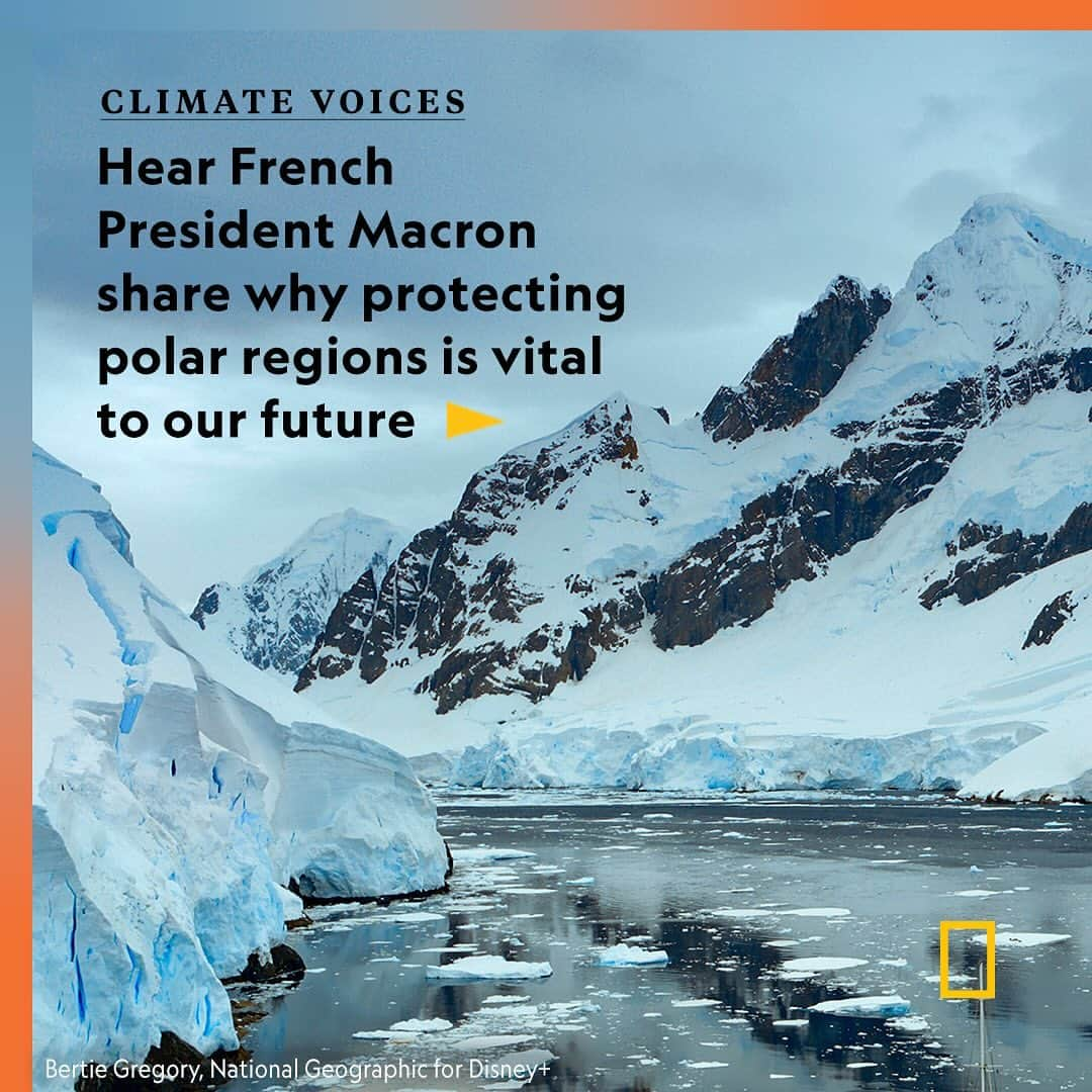 ナショナルジオグラフィックのインスタグラム：「In our first #NatGeoClimateVoices post with President @emmanuelmacron, swipe to see why polar ecosystems—some of the most vulnerable on Earth as the climate warms—need protection.  On November 10, National Geographic Explorer and wildlife filmmaker @bertiegregory interviewed President Macron at the One Planet Polar Summit—the first international summit dedicated to glaciers and poles. Meeting with leading scientists and experts, the president heard first hand the projections of melting sea ice and what actions scientists say need to be taken.  Watch the full video at the link in bio for more on France's plans to help protect polar regions.」