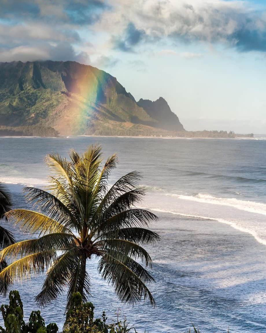 マリブシャツのインスタグラム：「Aloha Friday 🌈🏝️」