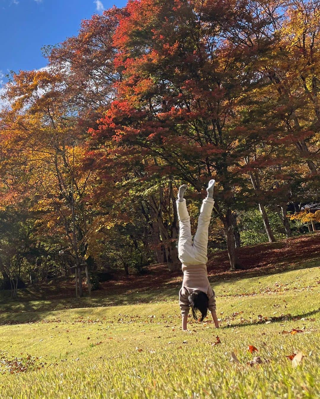 風間ゆみえさんのインスタグラム写真 - (風間ゆみえInstagram)「今年の紅葉は雨が少なかったこともあり、紅葉するまえに葉が落ちてしまったりしたようで、みずみずしい紅葉を観ていただきたかったですと、宿の方は少し肩を落として話してくれましたが、意図せずにふらりと舞い込んだ私たちにはとても美しくて、大人気なくいつまでもはしゃいで逆立ちまでするくらい、笑。」11月18日 3時22分 - yumie_kazama