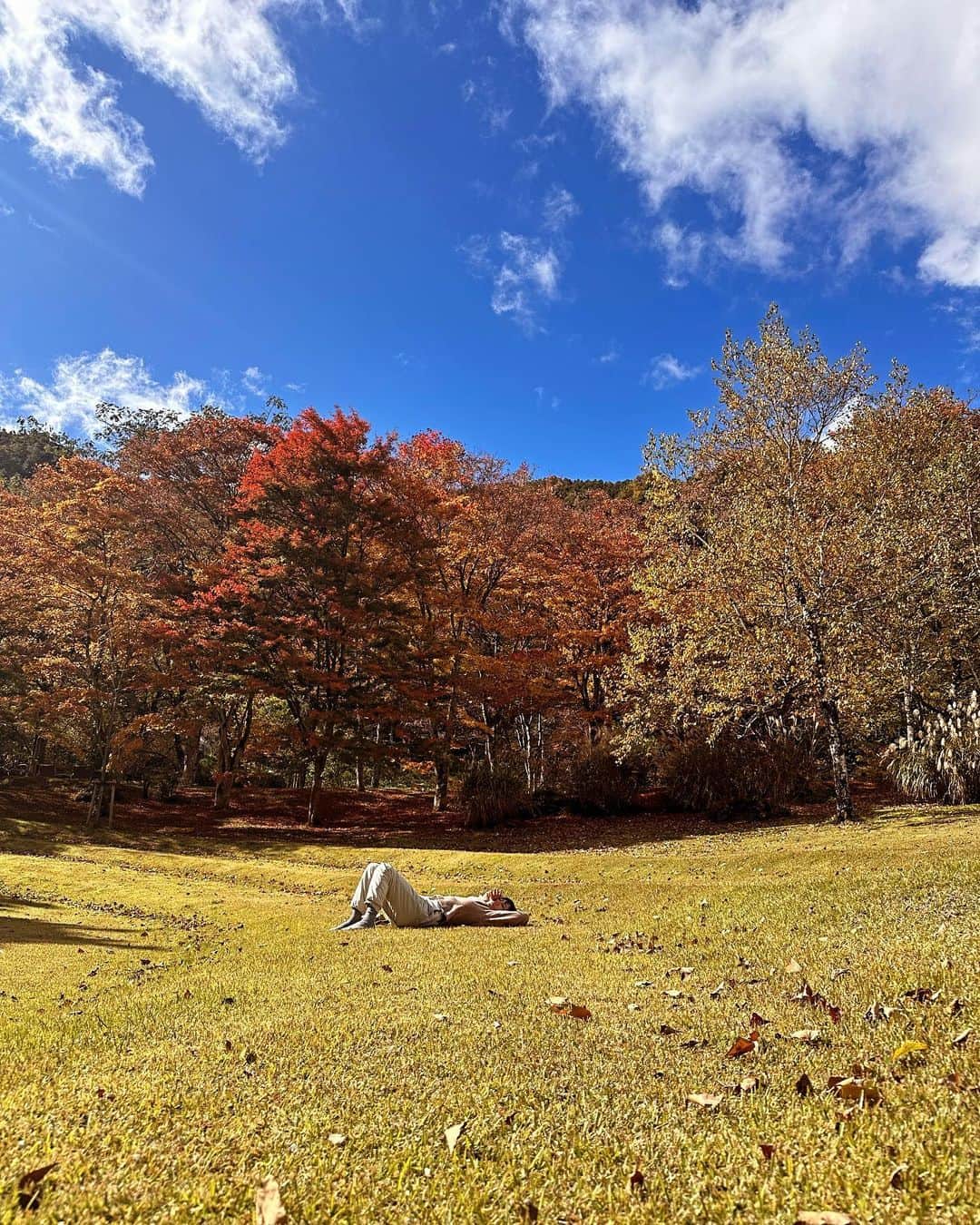 風間ゆみえのインスタグラム：「今年の紅葉は雨が少なかったこともあり、紅葉するまえに葉が落ちてしまったりしたようで、みずみずしい紅葉を観ていただきたかったですと、宿の方は少し肩を落として話してくれましたが、意図せずにふらりと舞い込んだ私たちにはとても美しくて、大人気なくいつまでもはしゃいで逆立ちまでするくらい、笑。」