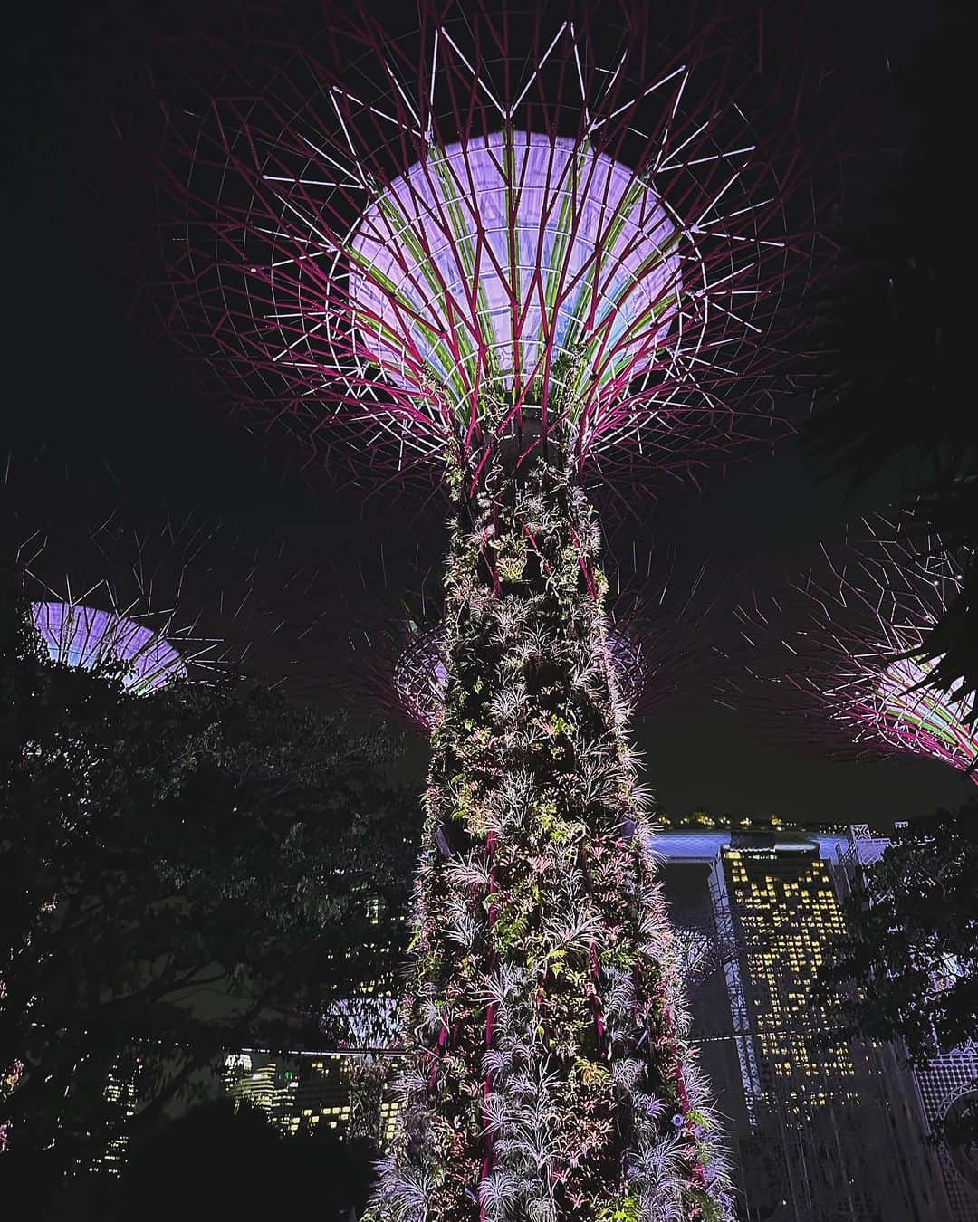 テイラー・ヒルさんのインスタグラム写真 - (テイラー・ヒルInstagram)「Singapore slinging ✨🖤 @revolve #revolvearoundtheworld」11月18日 5時04分 - taylor_hill