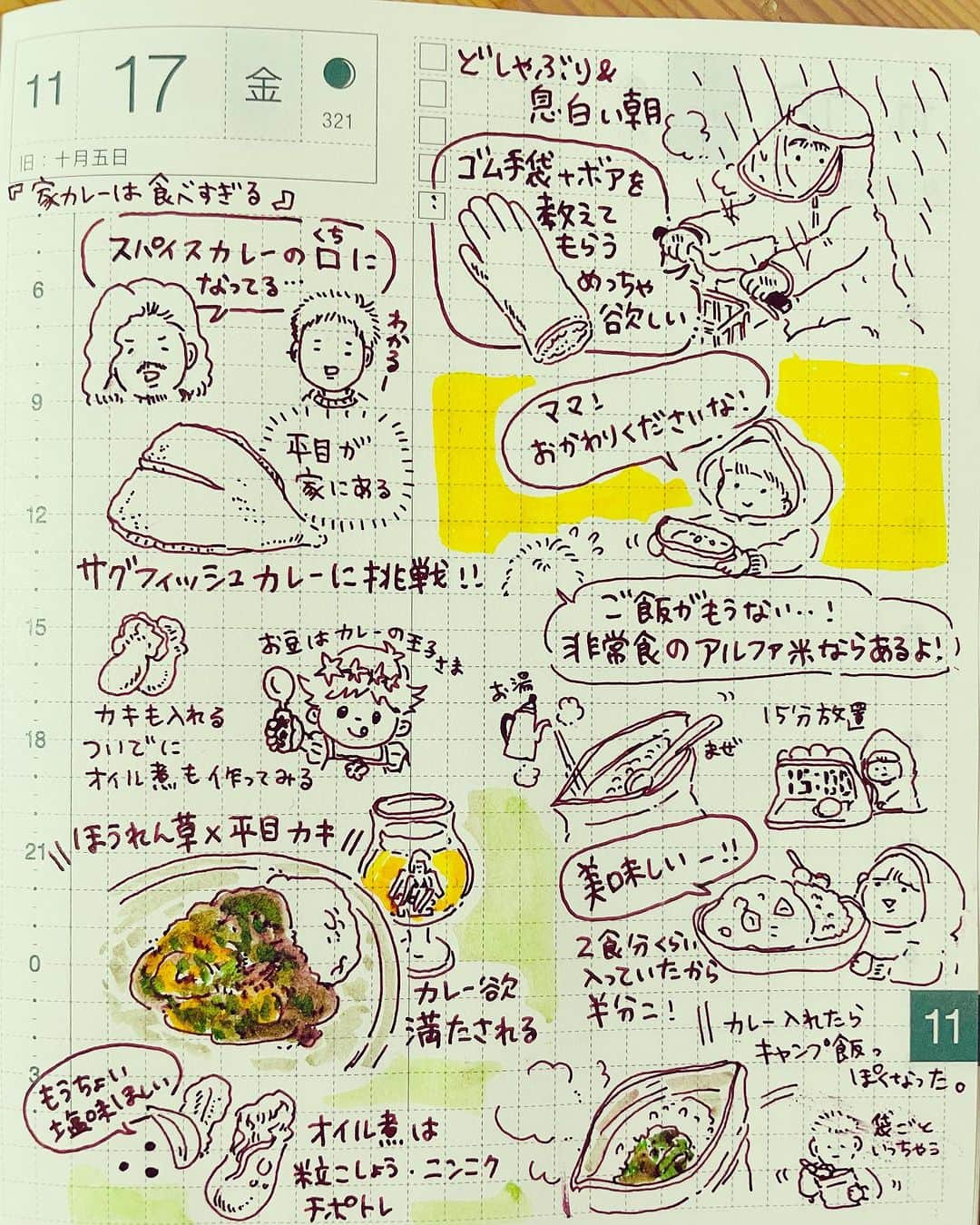 山川あかねのインスタグラム：「11/17    #スパイスカレー  #レインバイザー  #カレー  #尾西の白飯  #アルファ米  #illustration  #イラスト  #万年筆  #ほぼ日手帳  #cleancolorrealbrush」