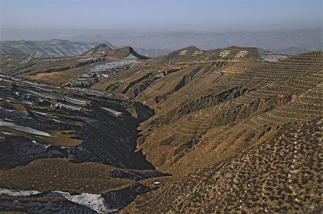 Michael Yamashitaのインスタグラム：「In the Laoniuwan area, the World Bank funds the planting of trees on the mountainsides above the Yellow River as part of the Green Great Wall project to curb erosion. On the hills in the distance, Chinese characters spell out "Protect the Mother River and Transform the Loess Plateau." #greatwall #china #greengreatwall」