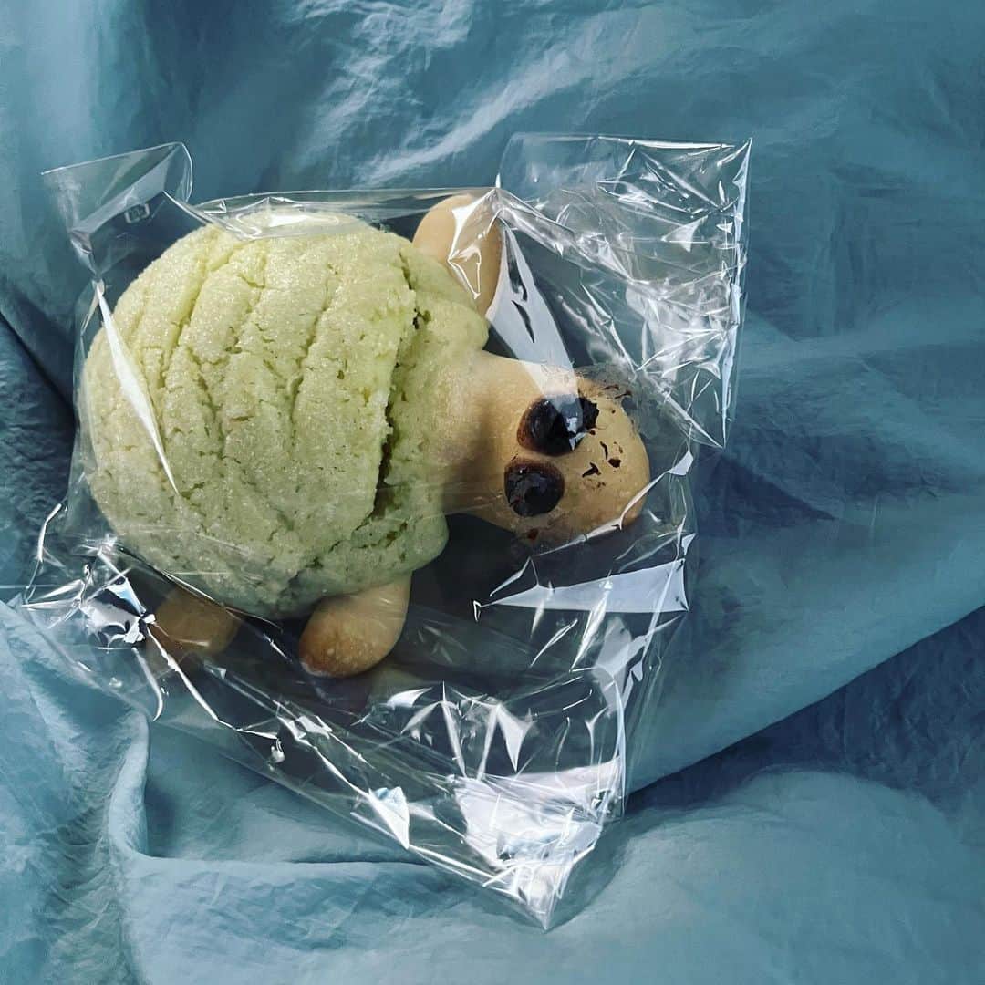 Nao☆ のインスタグラム：「上里SAで買った亀のメロンパン美味しかった🐢💚🟢🫛🟩」