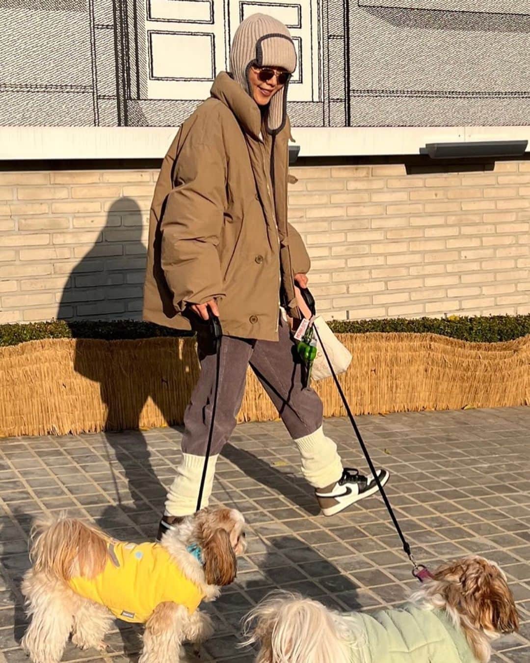 チェ・ジョンアンのインスタグラム：「오늘도 큰일(💩)을 위하여!! 추워도 바람이 불어도 걷자잉🐶」