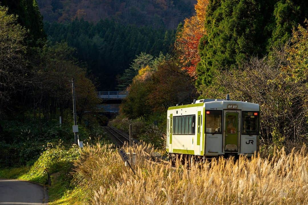 山人さんのインスタグラム写真 - (山人Instagram)「まだ何枚か撮影できました〜 延長戦に入ってみます😳 こちらは北上市岩沢駅付近です 2023.11.15 撮影  #私の山人  #山人 #西和賀 #岩手 #岩手県 #温泉 #いくぜ東北 #東北グルメ巡り #東北グルメ #東北旅行 #温泉旅行 # 田舎暮らし #日本の風景 #自然が好き　 #風景写真を撮るのが好きな人と繋がりたい #田舎の風景 #紅葉 #もみじ #芸術の秋 #錦 #紅葉スポット #ぶどう #落葉 #北上線 #JR #JR東日本 #湯ったりまつり2023 #地元の鉄道を応援しよう✊ #岩沢駅」11月18日 16時31分 - yamado.official