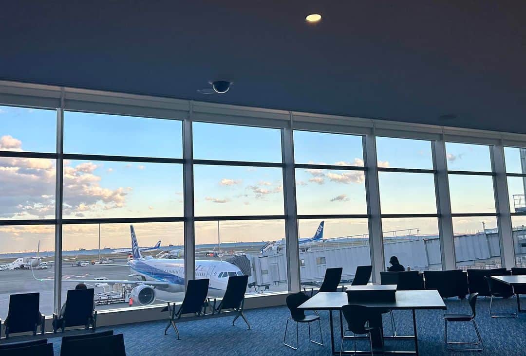 半井小絵のインスタグラム：「行ってきます✈️  雲の海」