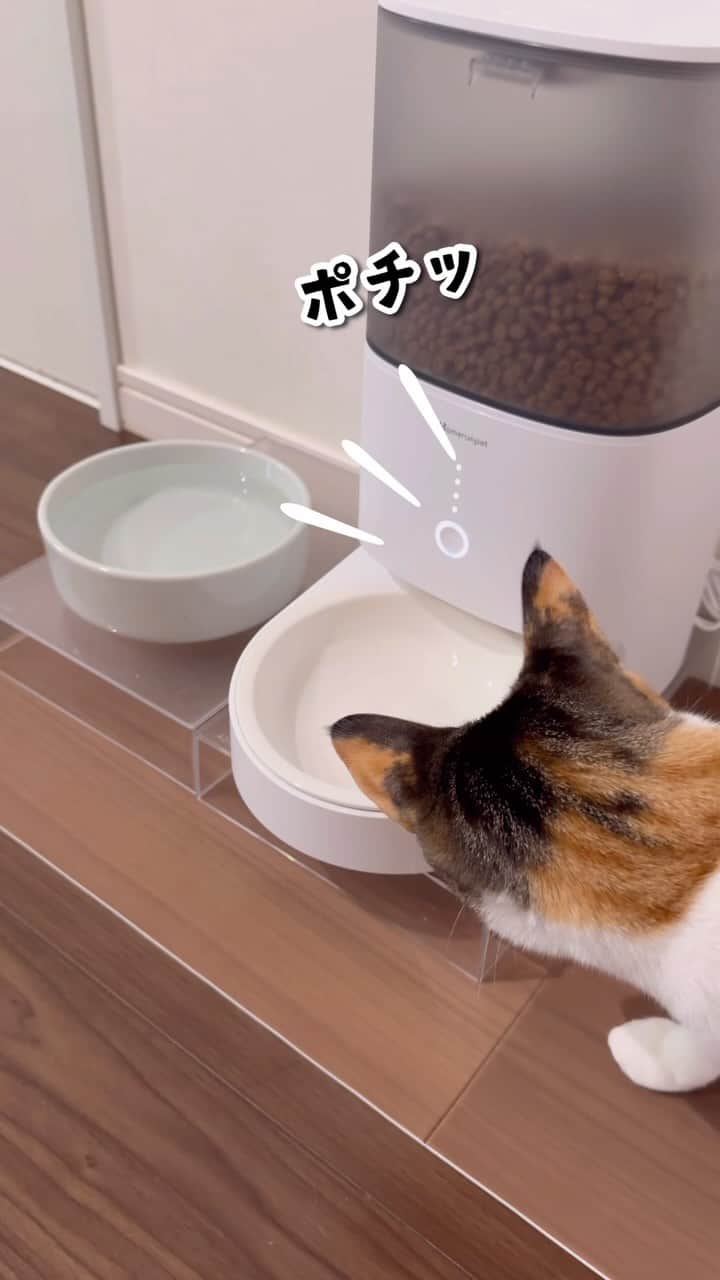 金太のインスタグラム