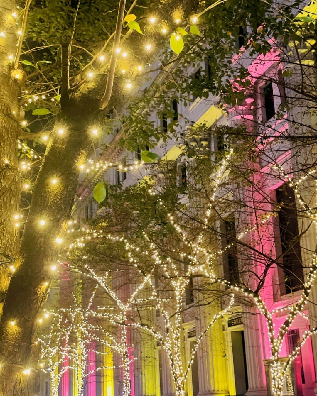 Mandarin Oriental, Tokyoさんのインスタグラム写真 - (Mandarin Oriental, TokyoInstagram)「The Nihonbashi area, where Mandarin Oriental, Tokyo is located, glitters with twinkling lights during this time of year. Immerse yourself in the vibrant and festive atmosphere of Nihonbashi, adorned with sparkling and lively colours, as you bask in the joy of the Christmas season.  マンダリン オリエンタル 東京が位置する日本橋の街が、きらびやかにライトアップされました。 より一層華やかさが増した、活気ある日本橋で、フェスティブシーズンをお楽しみください。 … Mandarin Oriental, Tokyo @mo_tokyo #MandarinOrientalTokyo #MOtokyo #ImAfan #MandarinOriental #FansOfMO #Nihonbashi #tokyohotel #hotelstay #staycation #マンダリンオリエンタル東京 #東京ホテル #日本橋 #日本橋ホテル #ラグジュアリーホテル  #クリスマスイルミネーション #東京イルミネーション #christmasillumination」11月18日 17時00分 - mo_tokyo