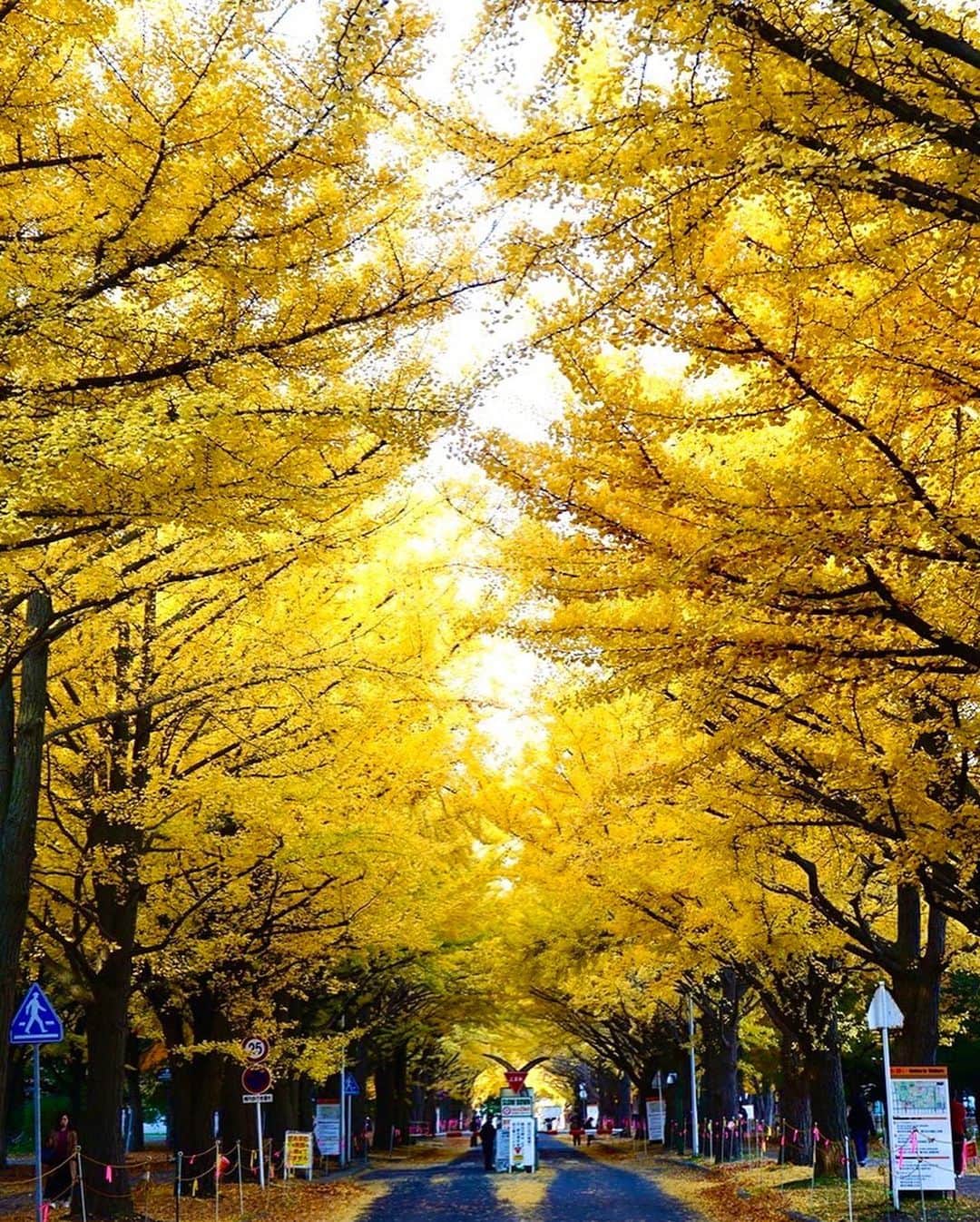 高橋佑奈さんのインスタグラム写真 - (高橋佑奈Instagram)11月18日 8時53分 - yuuuunadon