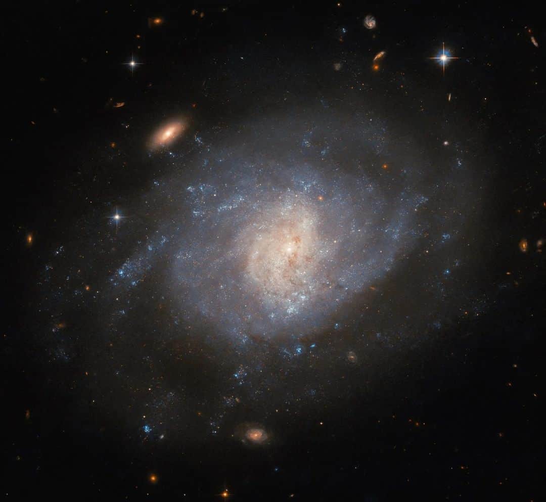 NASAのインスタグラム：「@NASAHubble observed the galaxy NGC 941 to study the environments in which certain types of supernovae occur, after an amateur astronomer spotted a supernova known as SN 2005ad.   Image description: A spiral galaxy, seen face-on from Earth. The spiral arms of the galaxy are bright but not well defined, merging into a swirling disc with a faint halo of dimmer gas around it. The core glows brightly in a lighter color and has a bit of faint dust crossing it. Two redder, visually smaller galaxies and a bright star are prominent around the galaxy, with more tiny objects in the background」
