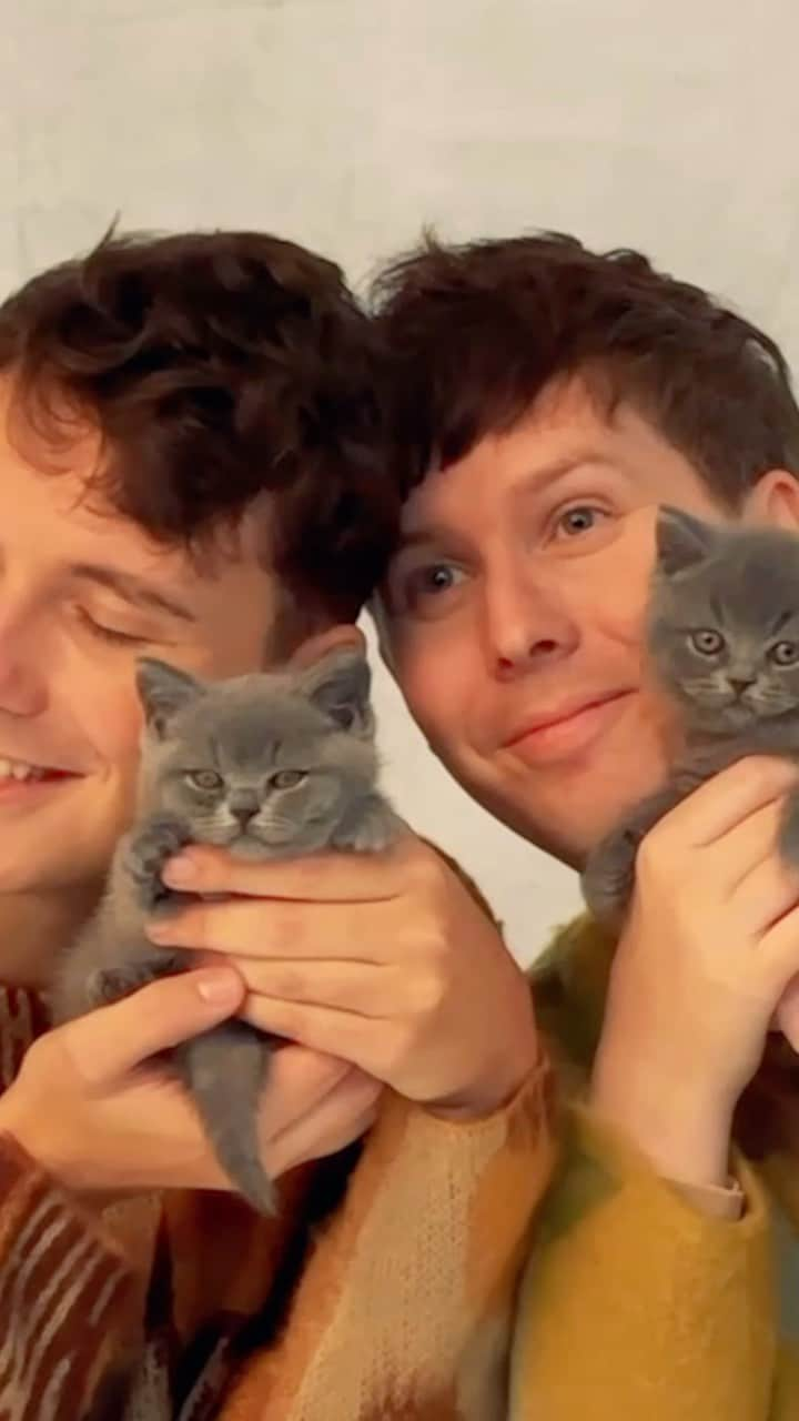 フィル・レスターのインスタグラム：「behind the scenes of the Dan and Phil AND CATS 2024 Calendar - available rn on danandphilshop.com / us.danandphilshop.com !!😻」