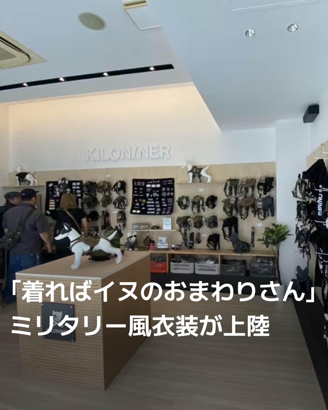 日本経済新聞社のインスタグラム：「米国のペット用ミリタリー風ウエア「KILONINER（キロナイナー）」の日本初の店舗が10月上旬、大阪に開業しました。キロナイナーの創業者は米国の警察で使われる装備などの設計に関わった経歴を持ちます。重厚なアイテムに身を包む姿はまさにイヌのおまわりさん。ミリタリー系ワンちゃんがファッションシーンで注目されそうです。⁠ ⁠ 詳細はプロフィールの linkin.bio/nikkei をタップ。⁠ 投稿一覧からコンテンツをご覧になれます。⁠→⁠@nikkei⁠ ⁠ #犬 #わんこ #ワンちゃん #ミリタリー #愛犬 #犬バカ部 #わんわん #衣装 #日経電子版」