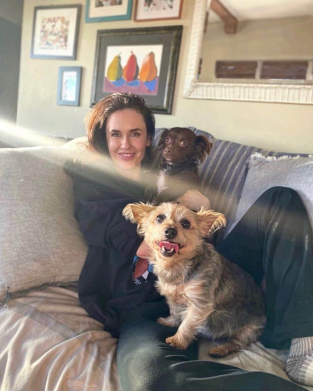ウィル・サッソのインスタグラム：「On their angels in a sunbeam ish. ❤️❤️❤️」