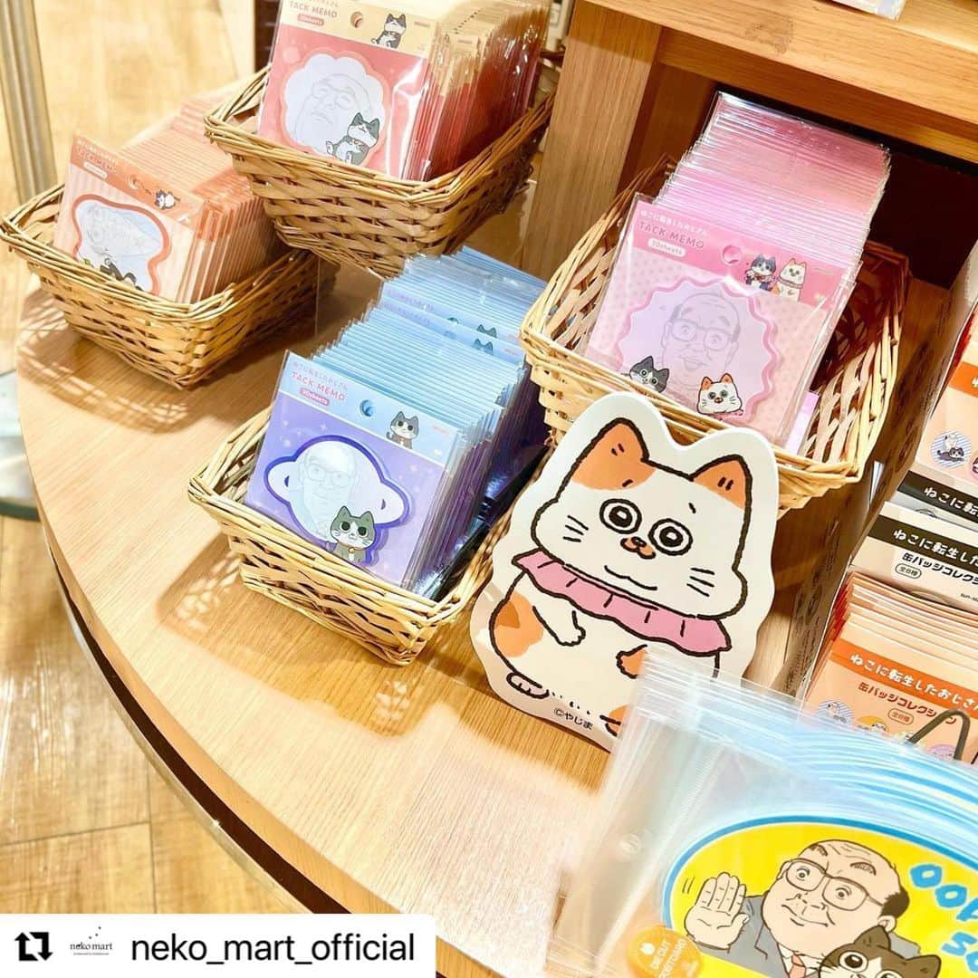 KIDDY LAND officialさんのインスタグラム写真 - (KIDDY LAND officialInstagram)「#Repost @neko_mart_official with @use.repost ・・・ …………………………………………………… ……… ……  ＼✨#ねこに転生したおじさん✨／  サラリーマンのおじさんが ある日猫に転生してしまい、 生前勤めていた会社の社長宅で飼われる様を描く 大人気コメディ作品‼️ 通称『#ねこおじ』のとってもかわいいグッズが登場‼️  ぜひチェックして下さい💫 @yajima_en …………………………………………………………………… … …   #ねこ#ネコ#neko#猫#かわいい #osaka#梅田 #ニャンコ先生ショップ #夏目友人帳 #ニャンコ先生 #緑川ゆき #ねこ雑貨#猫雑貨 #ひこ屋 #wachifield#わちふぃーるど #ワチフィールド #キデイランド大阪梅田店 #ねこキャラグッズと #ねこ雑貨を融合させた #ねこ好きの為の専門店です #nekomart#ネコマート  #kiddyland_nekomart」11月18日 9時51分 - kiddyland_co.jp