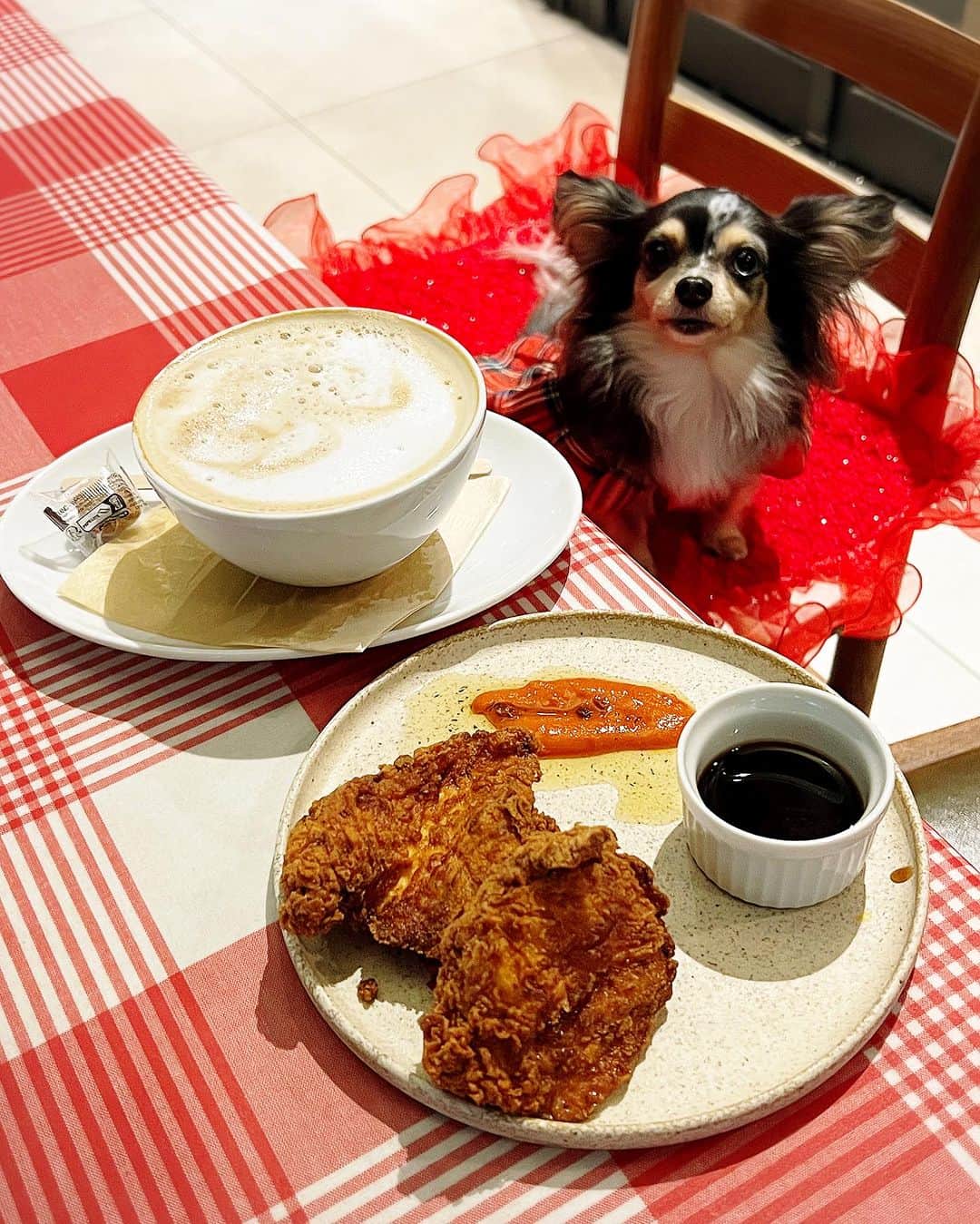 外村美姫さんのインスタグラム写真 - (外村美姫Instagram)「ロイヤルガーデンカフェ渋谷へ。 渋谷の街並みを臨める開放的なテラス席は実はわんこ同伴OKなんです。 我が子とパンケーキ＆カフェも叶っちゃう。カフェ、レストランどちらの利用も出来、名物のパンケーキも人気が高いメニュー。  リコッタチーズのパンケーキ　ベリーとキャラメルバター バターミルクチキン唐揚げ　ロメスコガーリックとメープルバルサミコ カフェラテと共に頂きました。  ふわふわのパンケーキもとても美味しかったけれど、カフェラテがボウルで提供され、味わい深くてのけぞる旨さでした。 バターミルクチキン唐揚げもスパイシーでソースとの相性も最高で。至福の時間が過ごせました。  こんなに美味しいお料理を愛犬と共に来店して頂けるなんて。渋谷の一等地だとなかなか叶わない夢が叶いました。 景色もとてもよく、夜は渋谷のにぎやかさから少し離れた様な、落ち着いた空間で、居心地もとっても良かったです。 ロイヤルガーデンカフェ様は他店舗も大ファンですが、渋谷も間違いなく、素敵なスポットでした。  ロイヤルガーデンカフェ 渋谷店 （Royal Garden Cafe） 東京都渋谷区宇田川町4-3 ホテルユニゾ　２F 03-5456-9026 ペットはテラス席のみ可 https://royal-gardencafe.com/shibuya/  @royalgardencafe Royal Garden Cafe Shibuya  #ロイヤルガーデンカフェ #ロイヤルガーデンカフェ渋谷 #PR  #パンケーキ #渋谷グルメ #渋谷デート #渋谷 #渋谷スイーツ #カフェ #カフェ巡り #カフェ活 #shibuya #tokyocafe #tokyosweets #pancake #sweets #外村美姫 #スイーツ #cafè #カフェ部 #カフェタイム #カフェ好き #カフェスタグラム #ティータイム #グルメ #カフェラテ #チワックスティファニー #犬ok #犬okカフェ #犬スタグラム」11月18日 9時53分 - mikitonomura