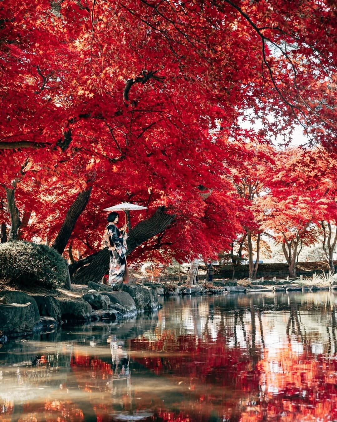 東京カメラ部公式のインスタグラム