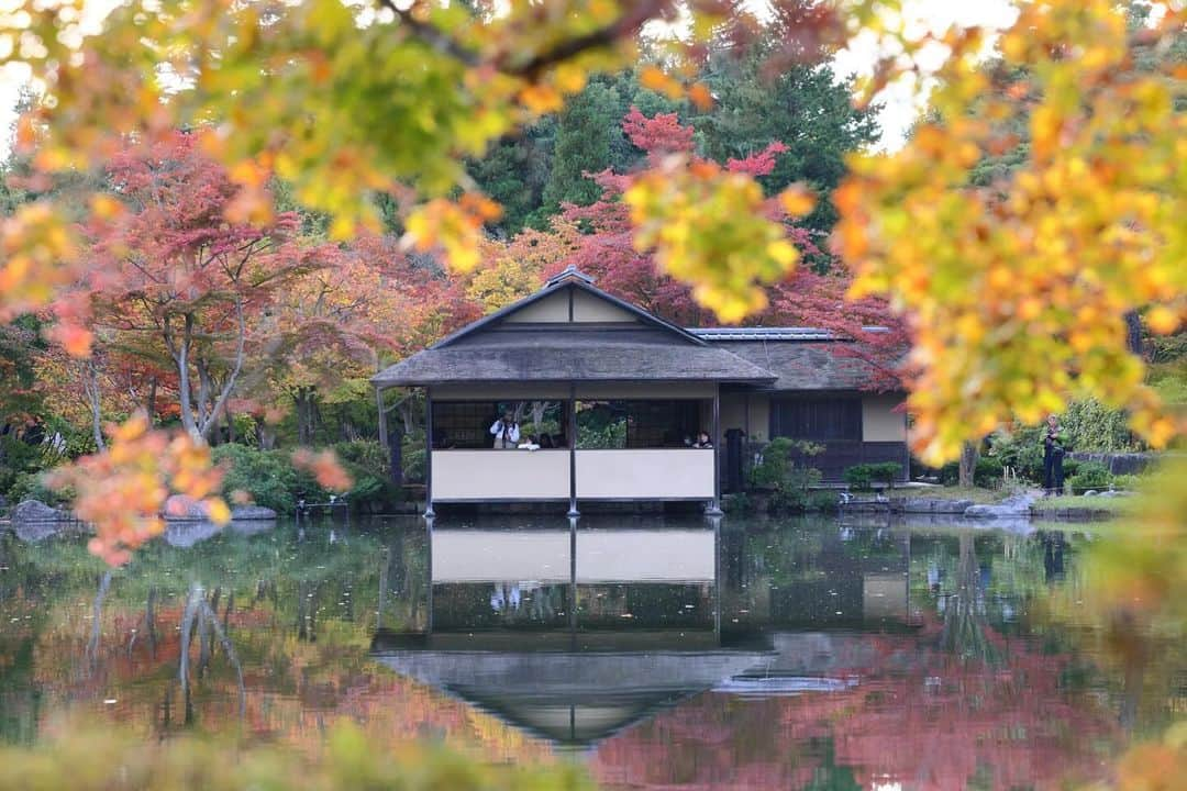 kiccyomuさんのインスタグラム写真 - (kiccyomuInstagram)「☁️ 2023.11.18 Sat #昭和記念公園 #紅葉 🍁  紅葉🍁の始まりは遅かったけど 今年もいつものように色変わり 綺麗な秋色🍁に会えました📸 まだまだこれからが楽しみ😊  location #東京 ❣️ 📷撮影 2023年11月16日」11月18日 11時17分 - kiccyomu