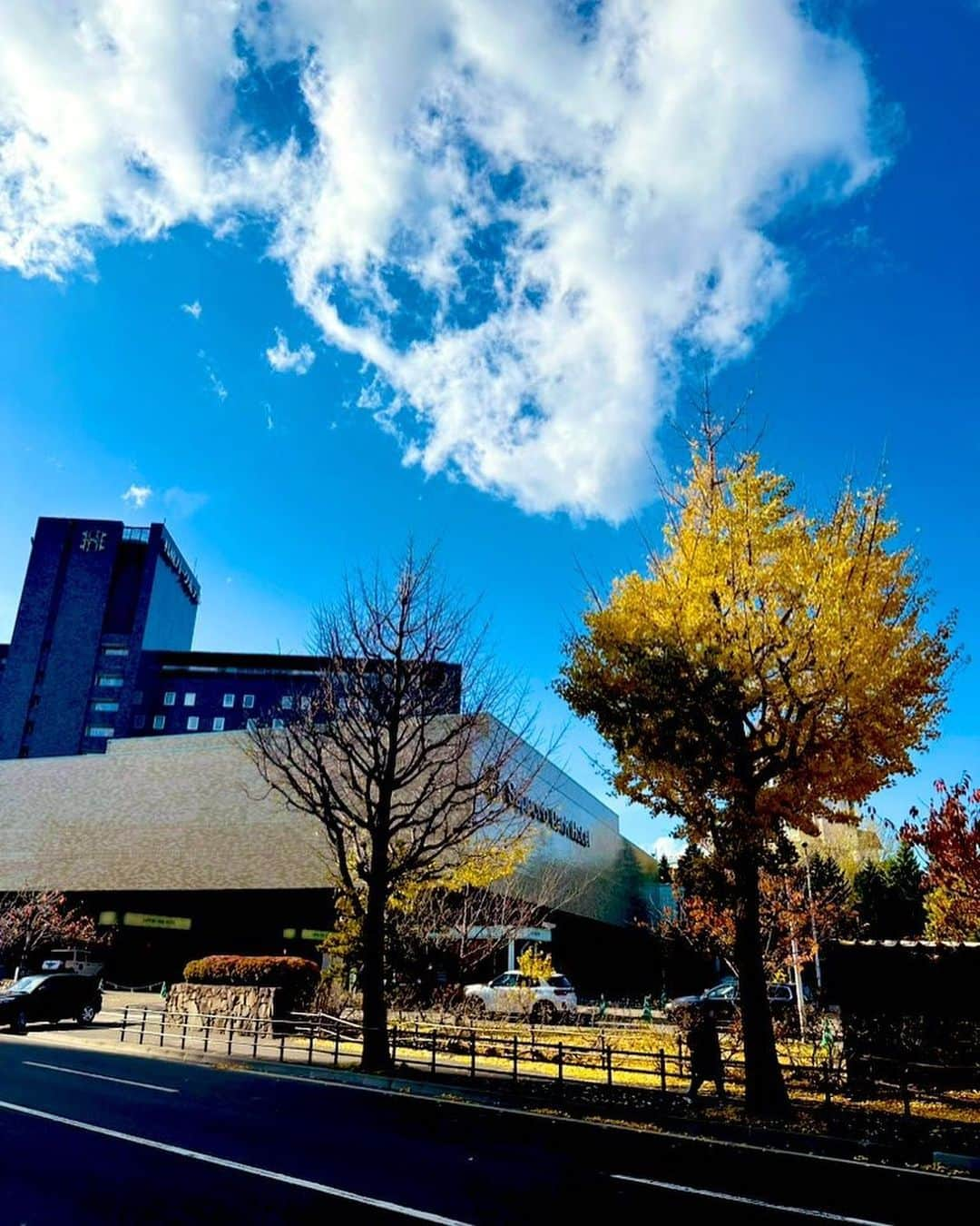 美川憲二さんのインスタグラム写真 - (美川憲二Instagram)「札幌晴れたわよー😃😄☀️☀️🌈🌈🍁🍁🍁🍁🍁🍁🍂🍂🍂🍂🍂🍂🍄🍄  良いお天気に誘われ🥰  午前中から　滞在中の近所、札幌の街を  お散歩中〜😃😄🍁🍁🍁⤴️⤴️  札幌散歩🚶‍♀️  札幌散歩🚶‍♀️  それそれ〜😃😄⤴️⤴️ #札幌散歩 #札幌 #良い天気 #ルンルン気分 #美川憲一 #美川憲二 #ヒデコフランセスカ #オネェ系 #ものまね」11月18日 11時21分 - mikawakenji