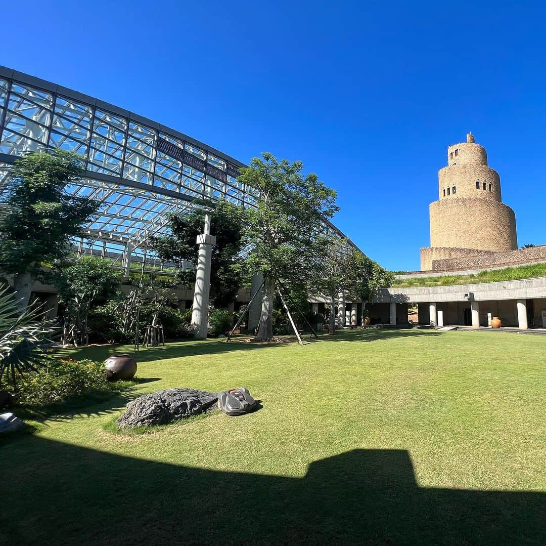 高松いくさんのインスタグラム写真 - (高松いくInstagram)「💐蘭🌷蘭🌻蘭  《美ら海水族館》に行ったなら❗️ それだけで帰らないで‼️  🌺『熱帯ドリームセンター』🪻  動画にも🎥しましたが(YouTubeでも😂)  ２枚目ちょこっと動画(撮影者階段でこけてますが)  終始美しい植物に包まれ  水族館の様に海を中からでは無く 展望台からは、沖縄の海を上から眺められます♪ #熱帯ドリームセンター遠見台   蘭の種類と数の多さに感動しっぱなし🥹 「え？？？」っと3度見するような珍しいものも✨ #熱帯ドリームセンター   深呼吸したくなる場所 上を見たくなる場所 ジャングルを歩くように歩き回れる場所  素晴らしさを言葉で表現できないので体で(ポーズで)表現  💃💐笑  踊りたくなるような熱帯ドリームセンター🌴  #沖縄観光スポット  #沖縄  #歩きたくなる  #観光スポット  #熱帯  #ドリーム  #植物  #花  #美しい  #flowers #okinawa  #美ら海水族館 近く #本部町 #フクギ並木  #備瀬 #備瀬のフクギ並木 近く」11月18日 11時57分 - iku_takamatsu_trip_sup_yoga