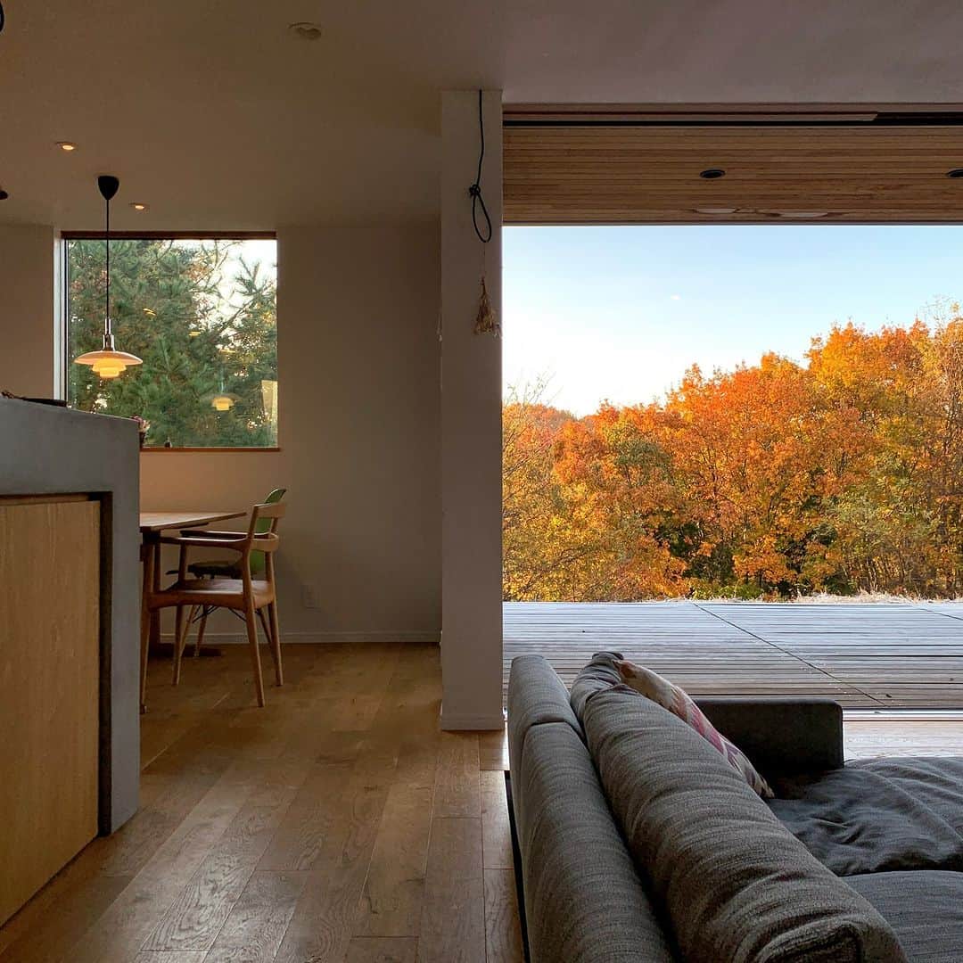 ムクリ［mukuri］さんのインスタグラム写真 - (ムクリ［mukuri］Instagram)「景色を切り取り、季節を感じる家〜自然と暮らしをつなぐ窓のある日常  「カーテンのない暮らしがしたい。」 そんな思いを叶えた erisaさんのお家は“窓”が主役。  木々の色づきや光の角度など、 四季折々の景色を窓を通して楽しむことができ、 絵画のように切り取って 暮らしに彩りを与えてくれます。  大開口の窓から見える景色は プライベートな立地を連想させますが、 実は職場からも近い 高台の住宅地に建てられたと聞いてびっくり。  家づくりには 住宅デザイナーである erisaさんのアイデアが活かされ、 理想の暮らしが実現しました。   ご主人がDIYでつくりあげたウッドデッキは 家にいながらにしてアウトドアな気分も楽しめ、 非日常の気分を味わえる場所。  家で過ごす時間が 一番の贅沢だと感じさせてくれますね。   忙しい毎日の中で 少し立ち止まる時間をもたらし、 心のゆとりを感じさせてくれる 「窓のある日常」をぜひご覧ください。   –––––––––––––––––– ムクリ公式アカウントでは くらしの中にある"好き"や"コダワリ"を毎日お届け。  インテリア、整理収納から家づくりなど 日常で参考になる情報から サラッと読める短編コラムまで ご紹介していますのでフォローしてぜひご覧ください。 ▶︎ @mukuri_official ・  「 #ムクリ 」のタグもいつも楽しく拝見しています☺️  オリジナルブランドは @daily_mukuri  くらしの中にあったらいいいな、 そんな商品を企画・制作、集めています。 ––––––––––––––––––  #土地 #土地選び #窓 #天井高 #ウッドデッキ #軒 #北欧インテリア #無垢 #新築 #マイホーム #マイホーム計画 #マイホーム記録 #家づくり #家 #おうち #新築一戸建て #注文住宅 #interior #インテリア #暮らし #緑のある暮らし #自然と暮らす #くらしの編集 #ムクリ」11月18日 12時05分 - mukuri_official
