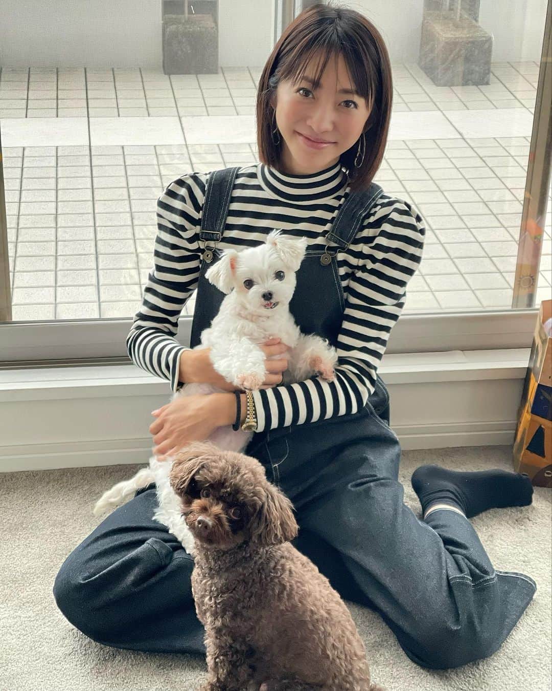 木本泉のインスタグラム：「- かなり久々に会えたお友達❤️ 🏠に遊びに😌  久しぶりに会った息子君は年中さんになっていて少年になっていて可愛かった👦  美人のワンちゃんも変わらず美人🩷 こんな可愛いお顔のワンちゃん、いない🥰  沢山いただきものして帰宅🏠  ありがとう！」