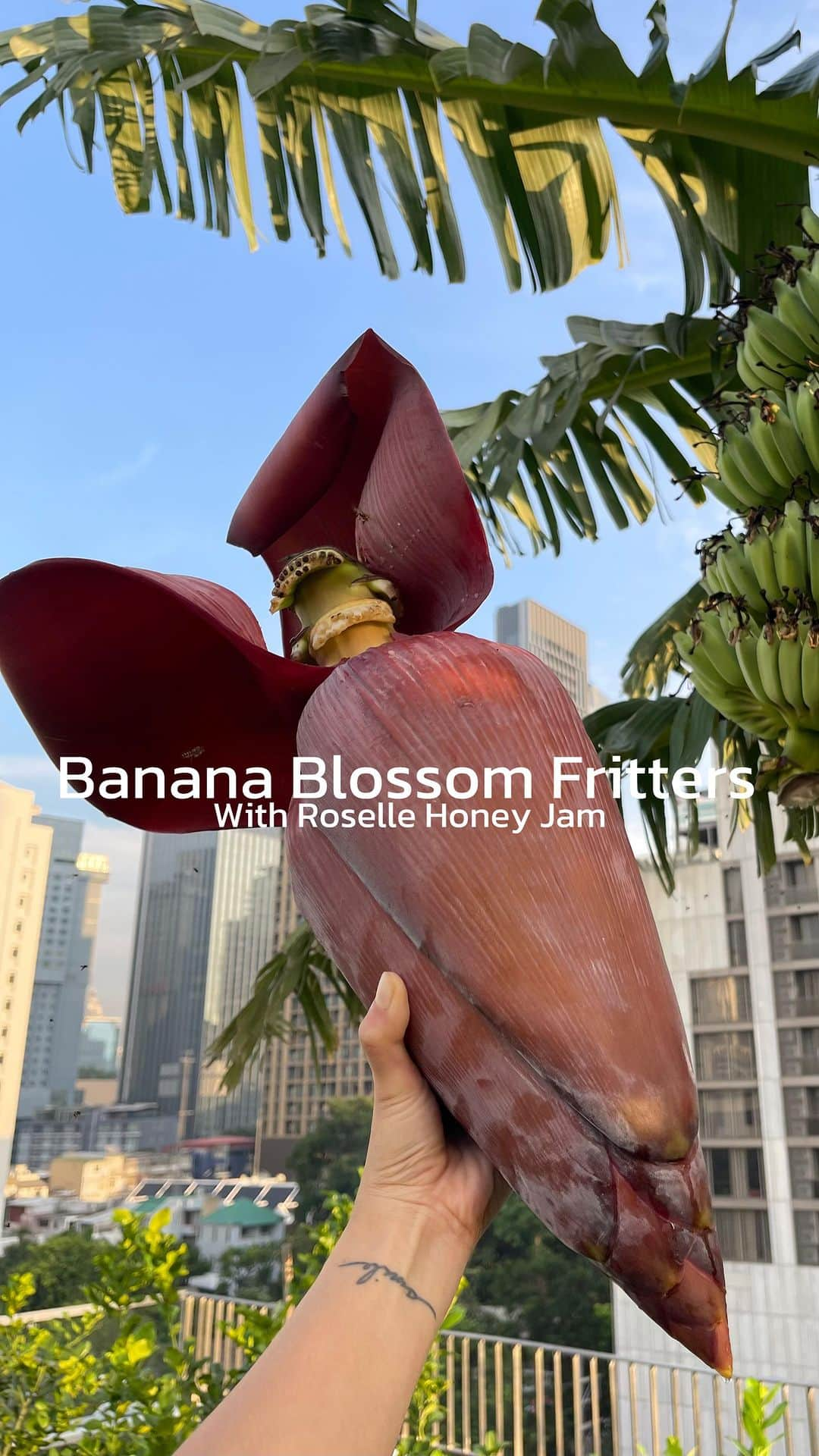 Amata Chittaseneeのインスタグラム：「Banana Blossom Fritter with Roselle&Honey Jam - Craving semi healthy snack/sweets 😂 what’s better when turning unwanted young banana blossom into deep fried fritters and pair them with refreshing sweet&sour Hibiscus sabdariffa ( #Roselle ) honey jam! Add a little salt and black pepper to the fritters is amazing too! Have a great weekend! 😍 #pearypieskygarden  - ตัดปลีกล้วยและ clear ต้นกระเจี๊ยบแดงบนดาดฟ้าค่า ว่าจะทำแกงปลีกล้วย แต่รู้สึกเสียดายดอกกล้วยอ่อนๆที่อยู่ด้านในกาบที่ปกติเราไม่ใช่ และหันไปมองกากกระเจี๊ยบแดงที่เหลือจากการต้มน้ำ เออกวนแยมต่อเลยละกัน พร้อมกับปิ๊งค์ไอเดียลองทำดอกกล้วยชุปแป้งทอดดีกว่ากินคู่กันเลย ให้อารมณ์ Fritters&Jam 😍 สรุปคือโคตรอร่อยอะ กรอบๆหวานๆมันๆอมเปรี้ยวด้วย ถ้าโรยเกลือบนดอกกล้วยชุปแป้งทอดนี้คือ French fries ได้เลยนะ! อร่อยหว่ะ   ปล ถ้าอยากลองชุปแป้งทอดดอกกล้วยตาม แนะนำให้ดึงเกสรตัวเมียออกค่ะ จะกรอบมากๆ ❤️❤️🫶🏽 #banana #bananablossom #musaceae #roselle #hibiscus #malvacece #bangkok #urbanfarming #urbanfarm #rooftop #rooftopfarming #rooftopfarm #rooftopgarden」