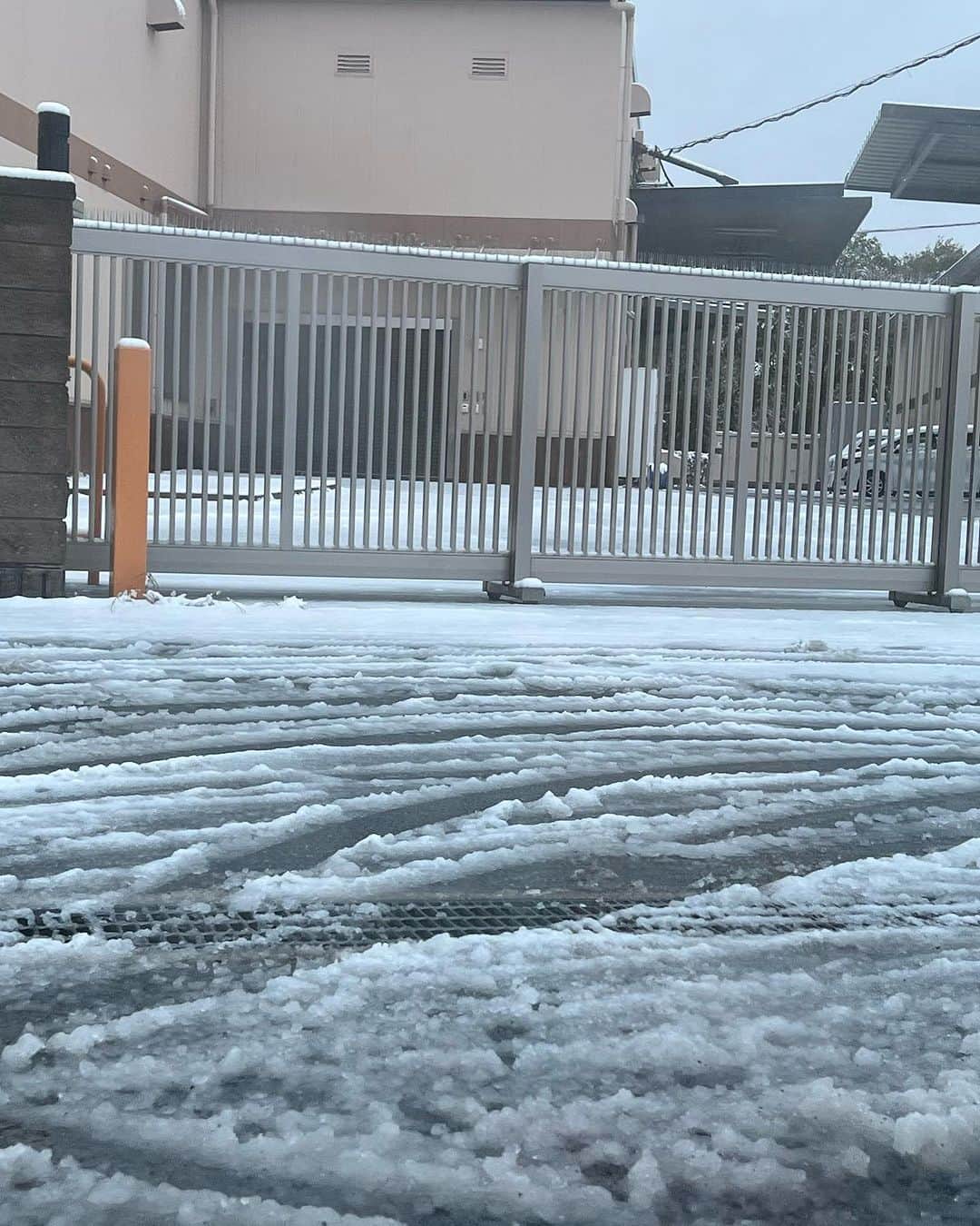 竹岡圭さんのインスタグラム写真 - (竹岡圭Instagram)「西川淳さんにお声がけいただき、大和三山クラシックカーフェスティバル2023にやってきたのですがー、荒天によりなんと中止になってしまいました…🥲 そのおかげで、トヨタ2000GTで雪の中を同乗するという貴重な機会に恵まれました😅 冗談のような、今シーズンの初雪⛄️❄️ビックリすぎ🫢 そしてトヨタ2000GT、雪の中もなんのその👍改めて感動💖  偶然父の母校も眺めることができて、なんだか嬉しかったでーす😃 橿原神宮も行きたかったけど、このお天気じゃ参拝は今度かなー🥲来年リベンジしたいなー💞  #大和三山クラシックカーフェスティバル #トヨタ2000GT #初雪 #西川淳 #竹岡圭 #橿原運動公園」11月18日 13時21分 - kei_takeoka