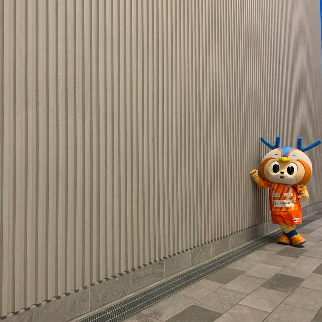 ヴィヴィくんさんのインスタグラム写真 - (ヴィヴィくんInstagram)「ところてんのあめ🐥☔✨ おひさしぶりにところてんをはっけんですっ👀🎶  おいしそう～☺️💓  #vvaren #vファーレン #vファーレン長崎 #長崎 #ヴィヴィくん #出島メッセ長崎 #稲佐山 #こちらは出島メッセの稲佐山プロムナード‼️ #ところてんプロジェクト」11月18日 13時48分 - vivikun_vvn