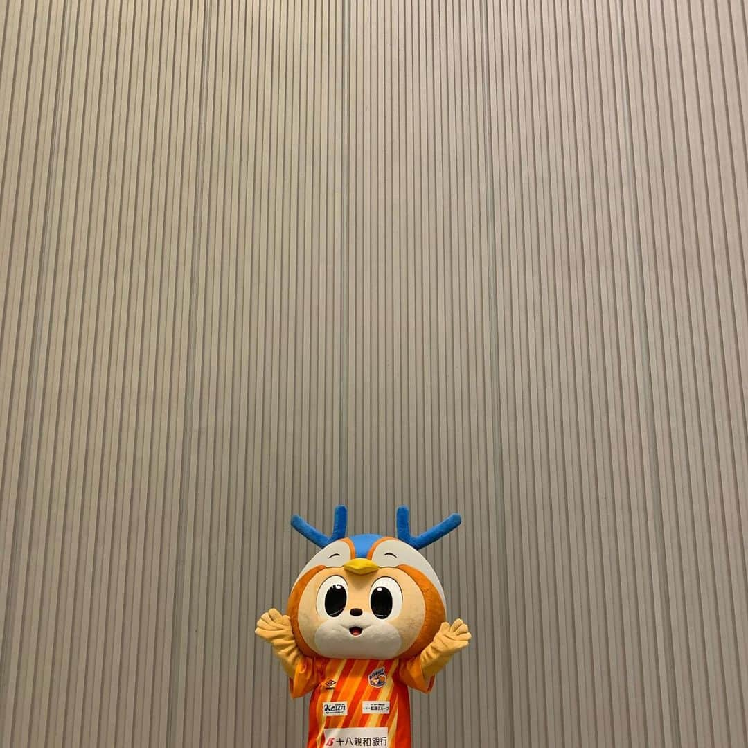 ヴィヴィくんさんのインスタグラム写真 - (ヴィヴィくんInstagram)「ところてんのあめ🐥☔✨ おひさしぶりにところてんをはっけんですっ👀🎶  おいしそう～☺️💓  #vvaren #vファーレン #vファーレン長崎 #長崎 #ヴィヴィくん #出島メッセ長崎 #稲佐山 #こちらは出島メッセの稲佐山プロムナード‼️ #ところてんプロジェクト」11月18日 13時48分 - vivikun_vvn