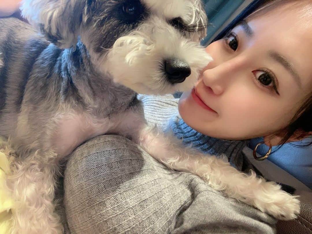 熊谷麻音さんのインスタグラム写真 - (熊谷麻音Instagram)「･ ･ ･ むしゅめぇ🐶🫶 ･ ･ #シュナウザー  #シュナスタグラム  #シュナウザーカット  #シュナウザー部  #シュナウザー大好き  #シュナウザー好きさんと繋がりたい  #シュナウザー多頭飼い  #シュナウザーlove  #シュナウザーのいる暮らし  #愛犬家  #犬のいる暮らし  #犬バカ部  #犬スタグラム  #犬との暮らし  #髭部  #シュナウザーブラックアンドシルバー」11月18日 13時49分 - mao_kumagai