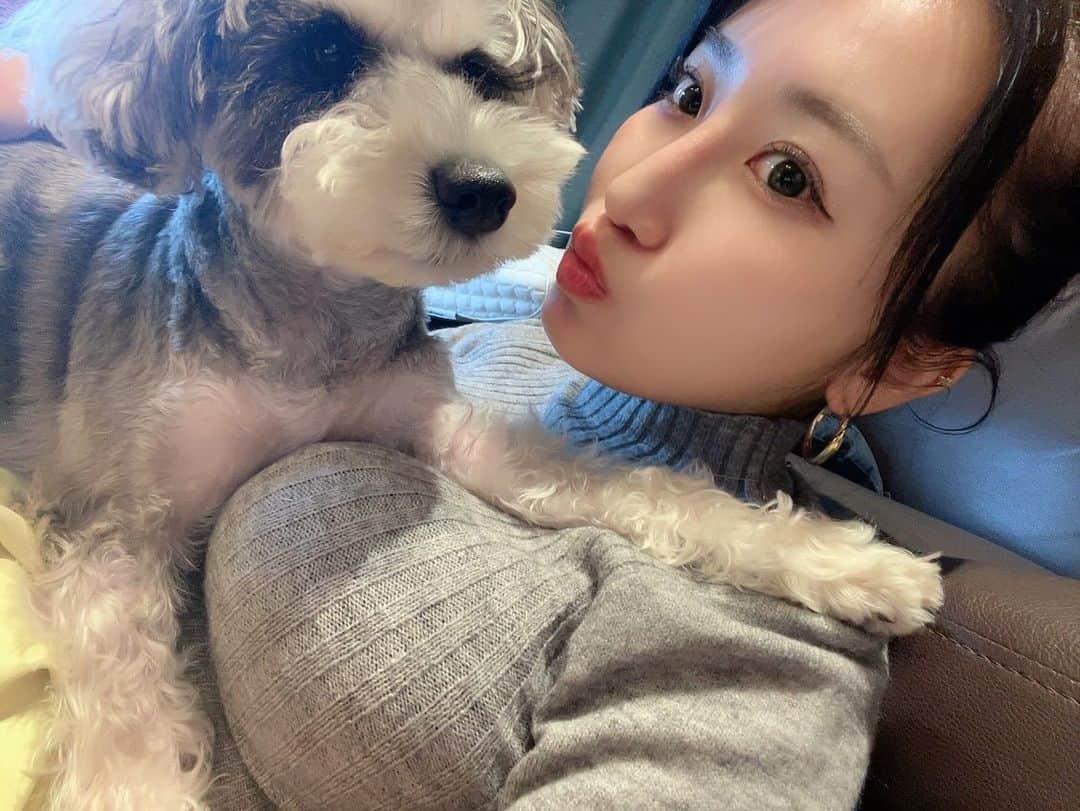 熊谷麻音さんのインスタグラム写真 - (熊谷麻音Instagram)「･ ･ ･ むしゅめぇ🐶🫶 ･ ･ #シュナウザー  #シュナスタグラム  #シュナウザーカット  #シュナウザー部  #シュナウザー大好き  #シュナウザー好きさんと繋がりたい  #シュナウザー多頭飼い  #シュナウザーlove  #シュナウザーのいる暮らし  #愛犬家  #犬のいる暮らし  #犬バカ部  #犬スタグラム  #犬との暮らし  #髭部  #シュナウザーブラックアンドシルバー」11月18日 13時49分 - mao_kumagai