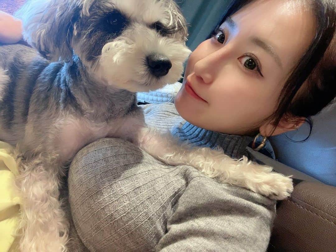 熊谷麻音さんのインスタグラム写真 - (熊谷麻音Instagram)「･ ･ ･ むしゅめぇ🐶🫶 ･ ･ #シュナウザー  #シュナスタグラム  #シュナウザーカット  #シュナウザー部  #シュナウザー大好き  #シュナウザー好きさんと繋がりたい  #シュナウザー多頭飼い  #シュナウザーlove  #シュナウザーのいる暮らし  #愛犬家  #犬のいる暮らし  #犬バカ部  #犬スタグラム  #犬との暮らし  #髭部  #シュナウザーブラックアンドシルバー」11月18日 13時49分 - mao_kumagai