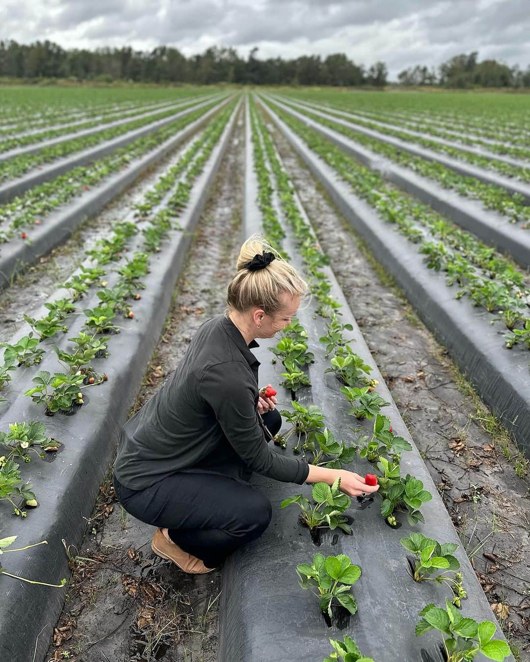 レヴェン・ランビンさんのインスタグラム写真 - (レヴェン・ランビンInstagram)「🍓 farms forever」11月18日 14時37分 - levenrambin