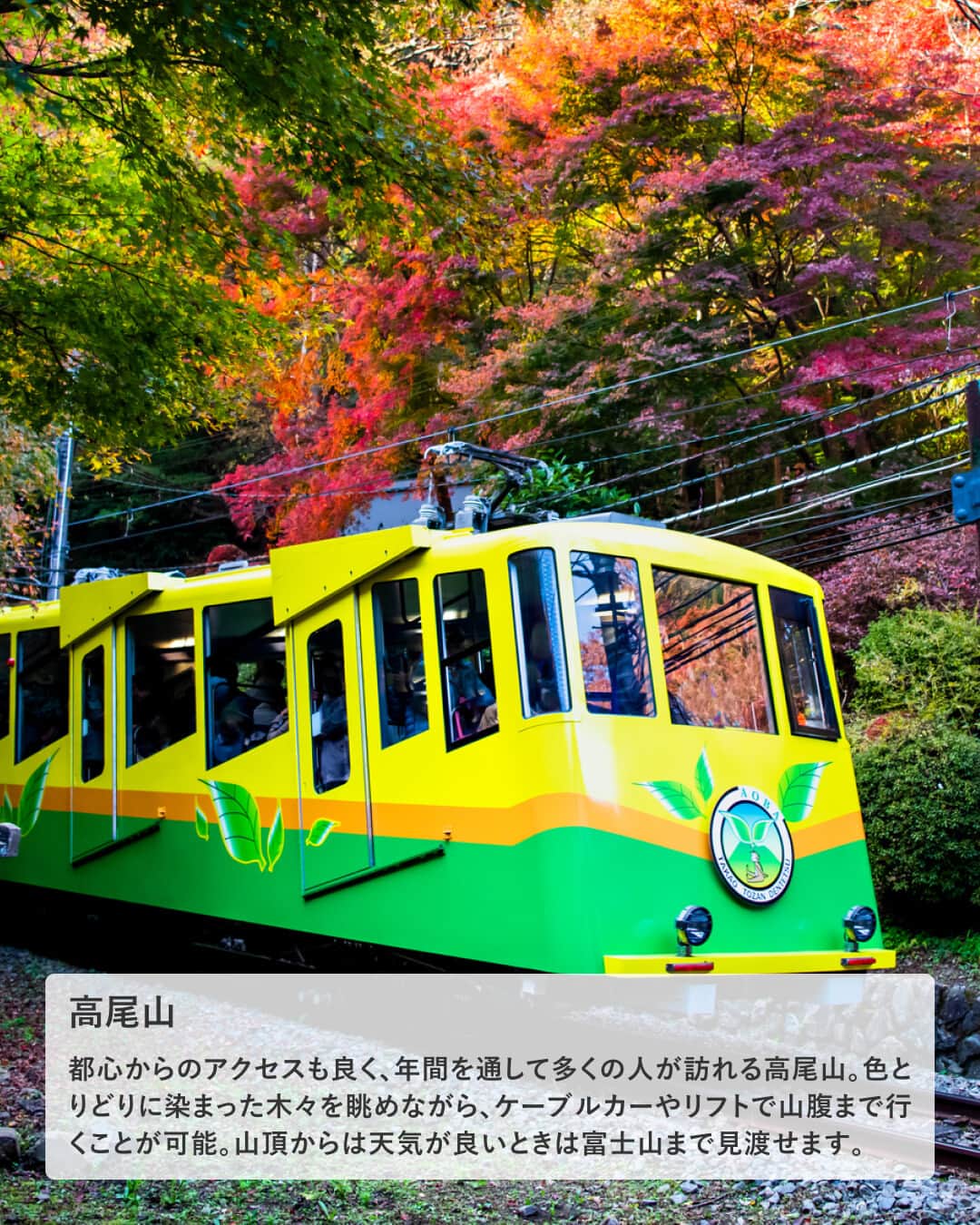 楽天トラベル さんのインスタグラム写真 - (楽天トラベル Instagram)「投稿を保存して見返してね😊 毎日おすすめの観光スポットやホテルを紹介している 楽天トラベル💚 👉@rakutentravel  ーーーーーーーーーーーーー  本日は、11月中旬から見頃を迎える東京の紅葉を紹介します🍁 期間限定のライトアップの演出もあるのでお見逃しなく👀  ーーーーーーーーーーーーー  1　#六義園（りくぎえん） 2　#大田黒公園 3　#目白庭園 4　#小石川後楽園 5　#高尾山 6　#御岳渓谷（みたけけいこく） 7　#九品仏浄真寺（くほんぶつじょうしんじ） 8　#神代植物公園（じんだいしょくぶつこうえん）  ーーーーーーーーーーーーー  #rakutentravel をつけて投稿してくだされば、 あなたの撮った写真が楽天トラベルアカウントに掲載されるかも👀  旅の計画に夢中になれるインスタマガジン👜 楽天トラベルをフォローして理想の旅をみつけてね🛫@rakutentravel  いってみたいと思った人は気軽にコメント欄にスタンプ送ってね💕  ーーーーーーーーーーーーー」11月18日 21時00分 - rakutentravel