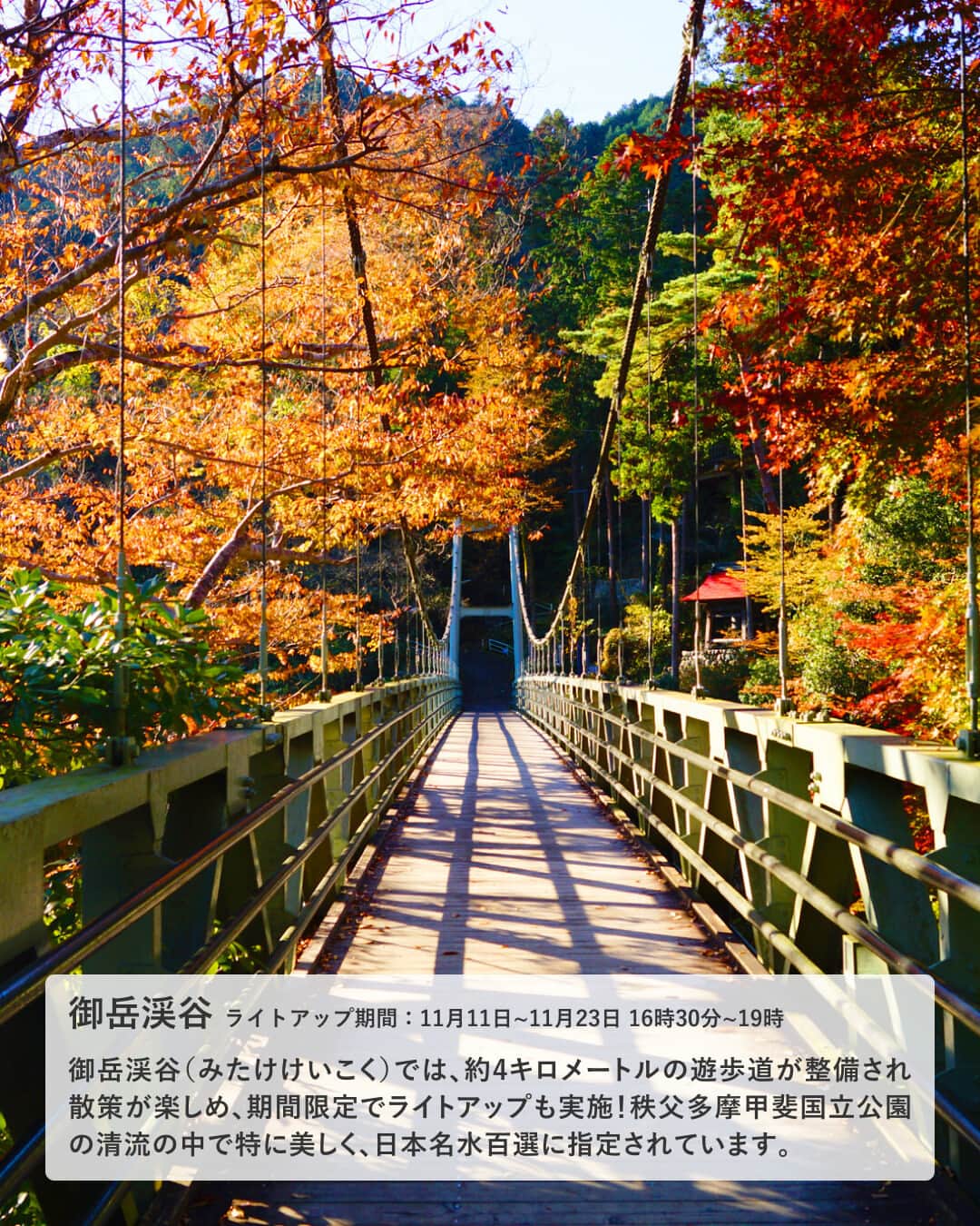 楽天トラベル さんのインスタグラム写真 - (楽天トラベル Instagram)「投稿を保存して見返してね😊 毎日おすすめの観光スポットやホテルを紹介している 楽天トラベル💚 👉@rakutentravel  ーーーーーーーーーーーーー  本日は、11月中旬から見頃を迎える東京の紅葉を紹介します🍁 期間限定のライトアップの演出もあるのでお見逃しなく👀  ーーーーーーーーーーーーー  1　#六義園（りくぎえん） 2　#大田黒公園 3　#目白庭園 4　#小石川後楽園 5　#高尾山 6　#御岳渓谷（みたけけいこく） 7　#九品仏浄真寺（くほんぶつじょうしんじ） 8　#神代植物公園（じんだいしょくぶつこうえん）  ーーーーーーーーーーーーー  #rakutentravel をつけて投稿してくだされば、 あなたの撮った写真が楽天トラベルアカウントに掲載されるかも👀  旅の計画に夢中になれるインスタマガジン👜 楽天トラベルをフォローして理想の旅をみつけてね🛫@rakutentravel  いってみたいと思った人は気軽にコメント欄にスタンプ送ってね💕  ーーーーーーーーーーーーー」11月18日 21時00分 - rakutentravel