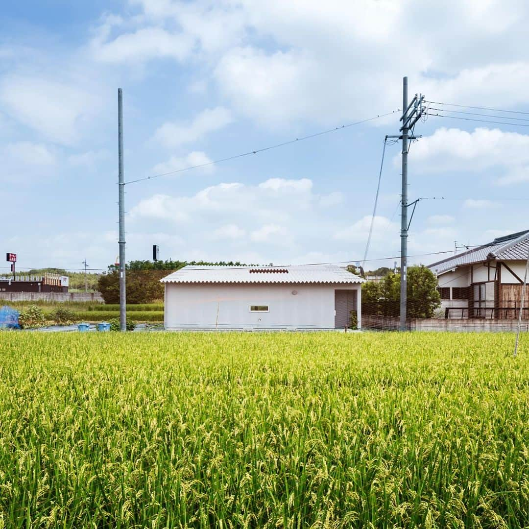 Horibe Associates co., ltd. のインスタグラム：「House in mita  more⇨@horibeassociates  #architecture #courtyard #Patio#двор#cortile#house#新築#design#modern#architects#architettura#デザイン#中庭#casa#simple #Haus #minimal #cortile#マイホーム計画#マイホームメモ#マイホーム記録#平屋#architecturephoto#archilovers#architecturephotography」