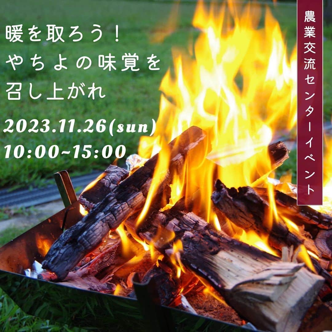 道の駅やちよのインスタグラム：「イベント開催のお知らせです。 いよいよ来週11月26日(日)10:00〜 「暖をとろう」イベント開催します。  ★明治安田生命さんによるお土産付き身体測定会✅ ★炭火ドラム缶で焼く「焼き芋🍠」 ★豚汁&@スイートポテト ★八千代市産のもち米で作ったお餅販売 ★焼きマシュマロでキャンプ気分⛺️ ★運試し！お菓子のにんじんの🥕くじ引き ★みんなのマルシェ出店者によるワークショップとハンドメイド販売、メダカ販売予定「クリスマスandマルシェ」 ★法人島田さんの「さつまいも詰め放題」 など、盛りだくさん😊  スタッフ一同只今準備しています🫡 ぜひ遊びに来てくださいね😊  #道の駅やちよ #やちよ農業交流センター  #暖をとろう #八千代市 #八千代市産 #さつまいも  #紅はるか #さつまいも詰め放題  #クリスマスandマルシェ」