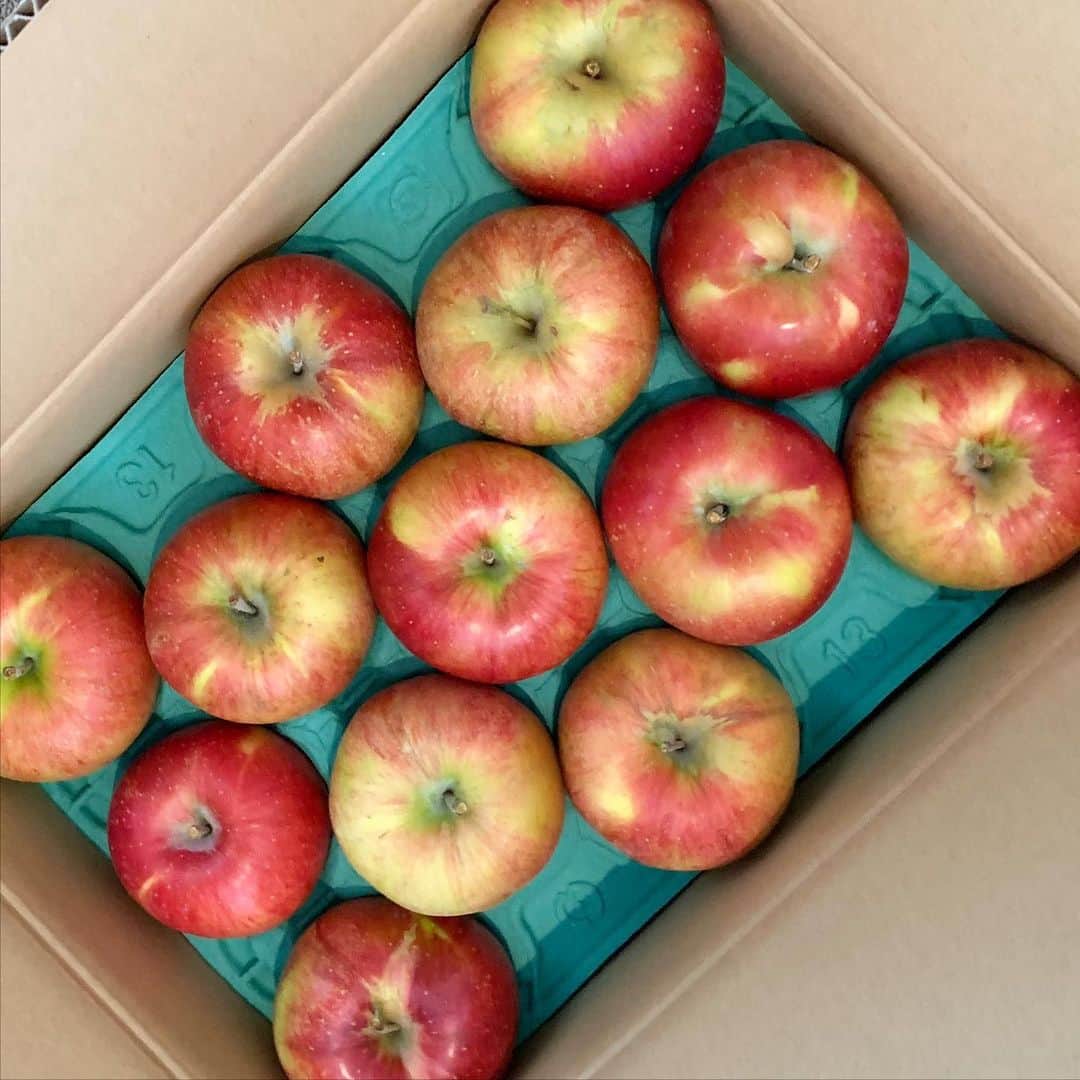 大橋歩さんのインスタグラム写真 - (大橋歩Instagram)「去年の今頃のこと。毎年たくさんりんごを送ってもらっていた従兄弟のお嫁さんの秋田のお母さんが亡くなられお家を終まわれたという電話をもらった。今年は毎年くださっているりんごの木オーナーになられてる方から頂いたのが残り少なくなってきて産地直送のを調べて送ってもらおうと思ってたら、ちょっと縁があり知り合いになったhibi.tsukidsuki.さんのインスタニュースにおいしそうなりんごが出ていて思わず検索😄。シナノスィートの1番小さい箱のを注文。その日になーんと従兄弟からいつものりんごが届いたのです！きっと長年毎年だったから何かの手違い？お礼の電話をすれどずーっと繋がらず😞。でもたくさんのりんごに🥰。今朝注文していたシナノスィートが届きました。うれしいダブり。(左から届いた順番。カゴのは従兄弟からので箱入りは取り寄せのです)」11月18日 15時37分 - ayumi8713