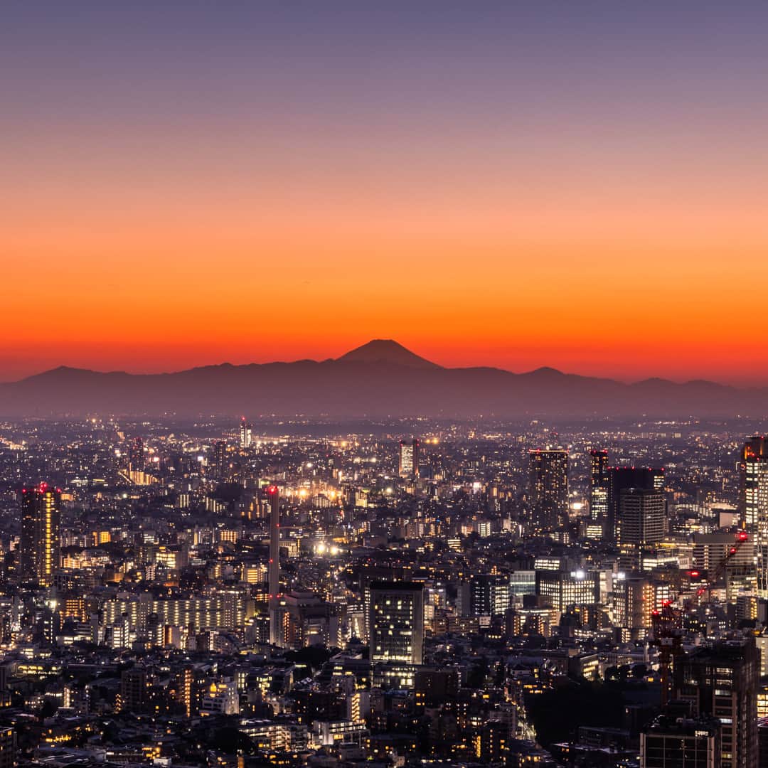 Tokyo City View 六本木ヒルズ展望台さんのインスタグラム写真 - (Tokyo City View 六本木ヒルズ展望台Instagram)「今週末、東京シティビューにいらっしゃいませんか？ 天高11メートル、全面ガラス張りの開放感溢れる空間から、大都会の街並みと自然が融合した絶景をお楽しみいただけます！  ※11/19（日）まで一部通行規制有り、11/20（月）～11/22（水）は休館 https://tcv.roppongihills.com/jp/news/2023/10/6916/  撮影：荒谷良一  #六本木ヒルズ展望台 #東京シティビュー #展望台 #夕景 #富士山 #景色 #荒谷良一 #RoppongiHillsObservation #TokyoCityView #TCV #mtfuji #mtfujiphoto_ig #mtfujijapan #mtfuji_fpn #Tokyo # #japantravel #tokyo #roppongi #RyoichiAratani #travelgram #japantrip #japan_daytime_view #japan_of_insta #bestjapanpics #tokyomuseum #artoftheday」11月18日 15時48分 - tokyocityview