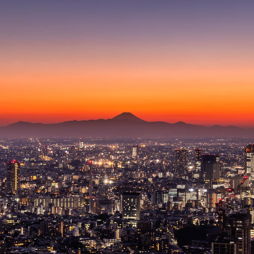 Tokyo City View 六本木ヒルズ展望台のインスタグラム