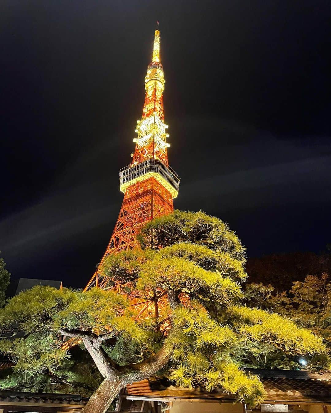 道重佐保さんのインスタグラム写真 - (道重佐保Instagram)「「東京タワーで、あいましょう。」計画の撮影🌃  @tta_keikaku 🗼‪‪❤︎‬  東京のシンボル 東京タワー！ 何度見てもパワーもらえる姿に、個人的には私の先祖が増上寺の法主だったこともあり、改めて ご縁がある地なんやなぁとしみじみ感じていました💭  しかも今回は新しく挑戦するスタイリングもあり！とても楽しい撮影でした☺️  #オフショット沢山撮っていただけたから載せます😆 #まだまだつづくよ  #🗼   ． ． ．  #ttastore  #tokyotower #japantrip  #portrait #japanesegirl #ig_japan #followme #彼女 #日本的 #道重佐保 #michishigesaho」11月18日 17時58分 - sahomichishige
