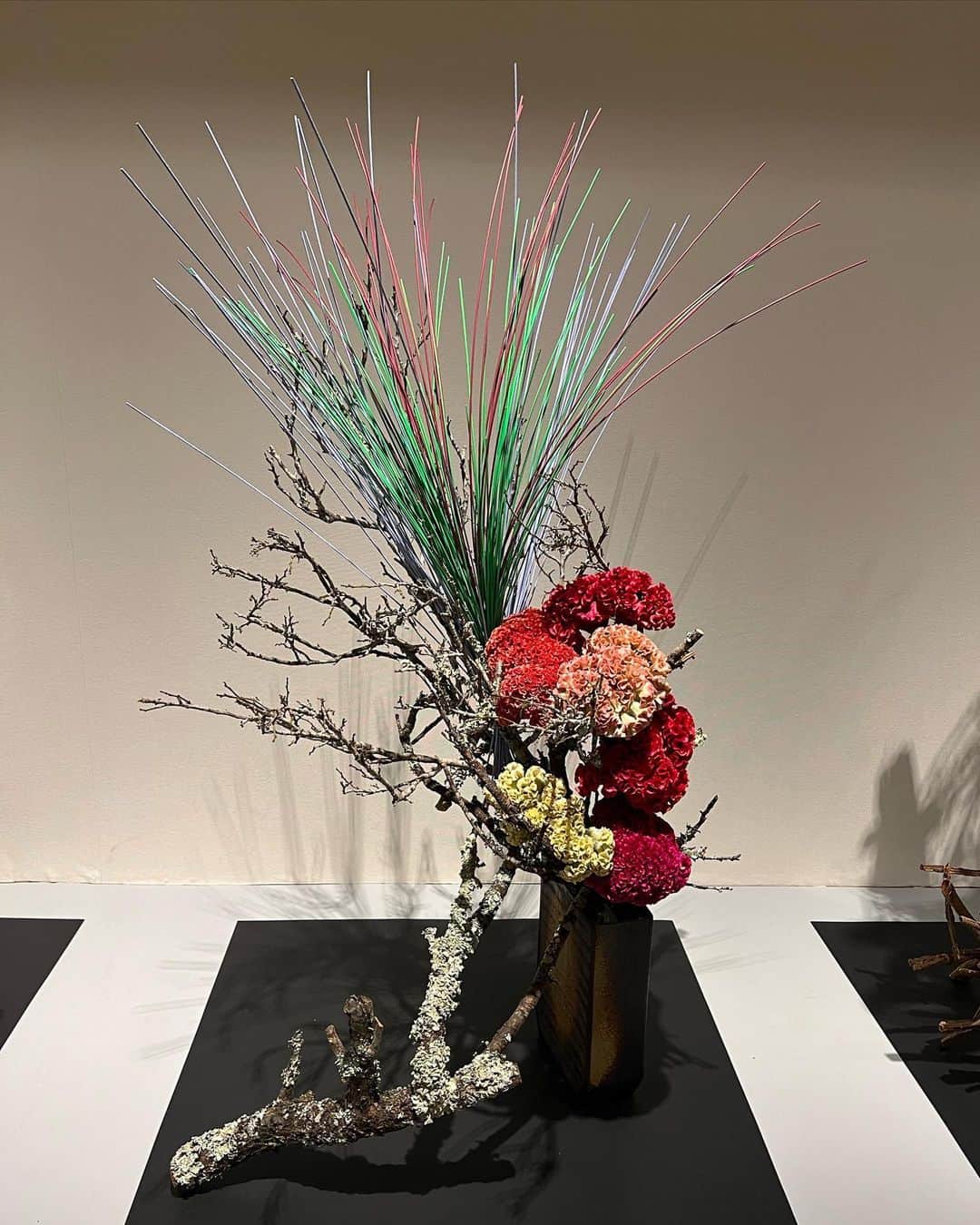 大山愛未さんのインスタグラム写真 - (大山愛未Instagram)「#草月いけばな展  #芸術の秋  驚きと感動の連続😳 一体どこからこのアイデアが浮かんでくるんだろう  すべての作品に想いが溢れていて 私も、次にいけるのがすごく楽しみになりました！  刺激的な時間を過ごせて とてもよかったです🫶  #いけ活 #いけばな  #草月流」11月18日 18時43分 - aimi_ooooo