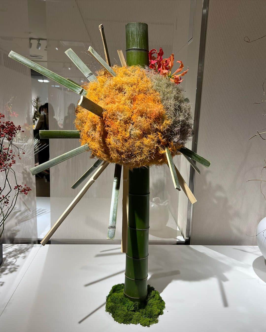 大山愛未さんのインスタグラム写真 - (大山愛未Instagram)「#草月いけばな展  #芸術の秋  驚きと感動の連続😳 一体どこからこのアイデアが浮かんでくるんだろう  すべての作品に想いが溢れていて 私も、次にいけるのがすごく楽しみになりました！  刺激的な時間を過ごせて とてもよかったです🫶  #いけ活 #いけばな  #草月流」11月18日 18時43分 - aimi_ooooo