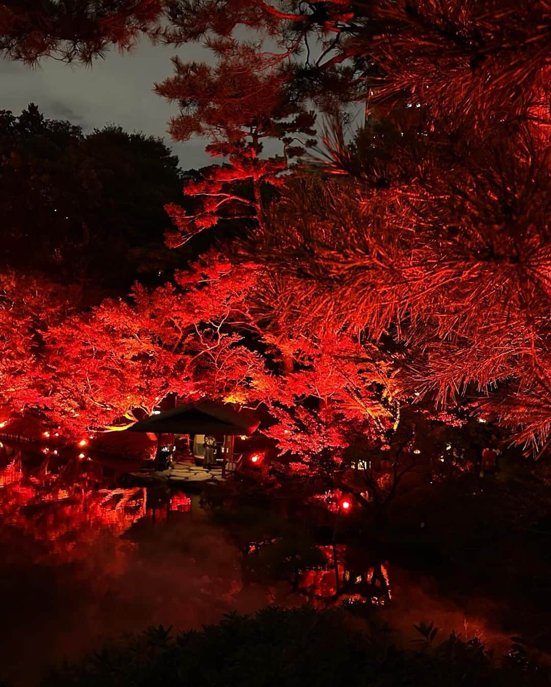 村上麻衣さんのインスタグラム写真 - (村上麻衣Instagram)「🍁TOKYO RED GARDEN🍁  この赤の世界は、 まさに「呪術廻戦　渋谷事変」のオープニング‥🤭  #八芳園#もみじ #紅葉スポット #紅葉 #もみじ狩り #夜景 #夜景スポット #夜景倶楽部 #夜景が綺麗 #tokyo#japan#autumn #beautiful」11月18日 18時43分 - maimaisue