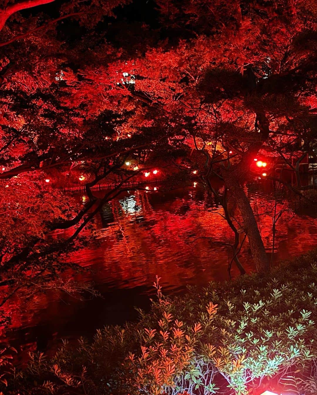 村上麻衣さんのインスタグラム写真 - (村上麻衣Instagram)「🍁TOKYO RED GARDEN🍁  この赤の世界は、 まさに「呪術廻戦　渋谷事変」のオープニング‥🤭  #八芳園#もみじ #紅葉スポット #紅葉 #もみじ狩り #夜景 #夜景スポット #夜景倶楽部 #夜景が綺麗 #tokyo#japan#autumn #beautiful」11月18日 18時43分 - maimaisue