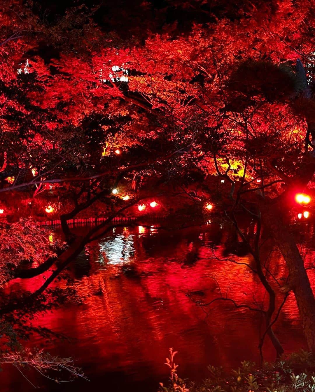 村上麻衣さんのインスタグラム写真 - (村上麻衣Instagram)「🍁TOKYO RED GARDEN🍁  この赤の世界は、 まさに「呪術廻戦　渋谷事変」のオープニング‥🤭  #八芳園#もみじ #紅葉スポット #紅葉 #もみじ狩り #夜景 #夜景スポット #夜景倶楽部 #夜景が綺麗 #tokyo#japan#autumn #beautiful」11月18日 18時43分 - maimaisue