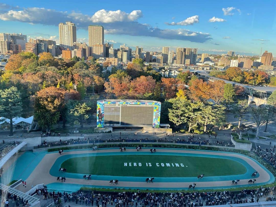 髙橋大悟さんのインスタグラム写真 - (髙橋大悟Instagram)「#競馬研修  東京競馬場で競馬実況練習！🔥  パドック周りの木々の紅葉に秋を感じました。🍁 最近、急に寒くなったので体調第一でいきましょう！💪  #ウイニング競馬 #競馬 #実況 #テレビ東京 #アナウンサー #髙橋大悟」11月18日 18時45分 - daigo_takahashi_tx.777